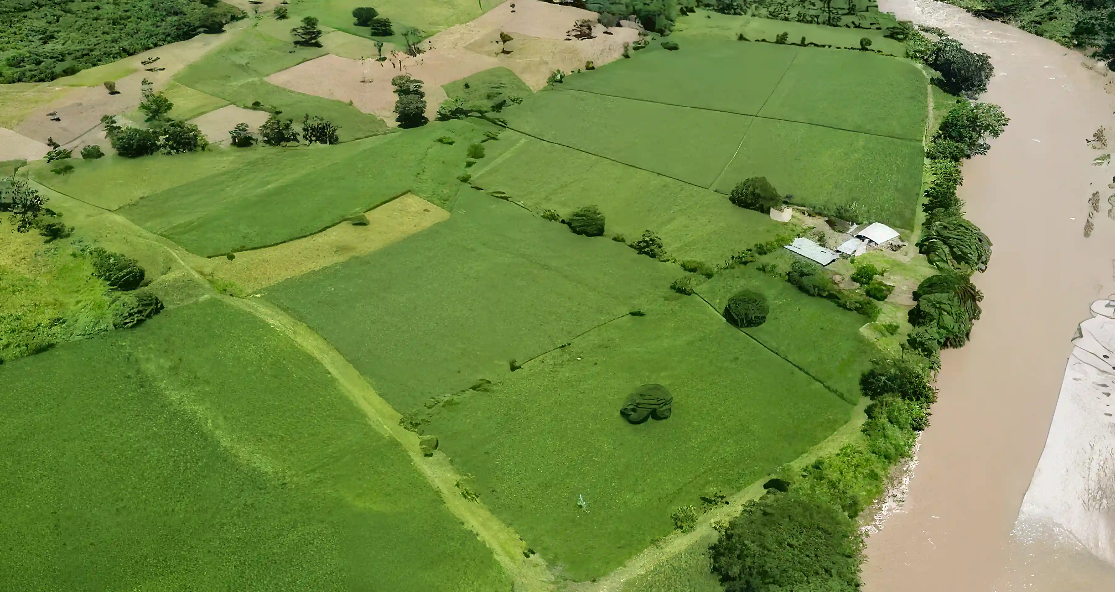 Farm for Sale in Farm Road 41, La Union, Copan, Honduras
