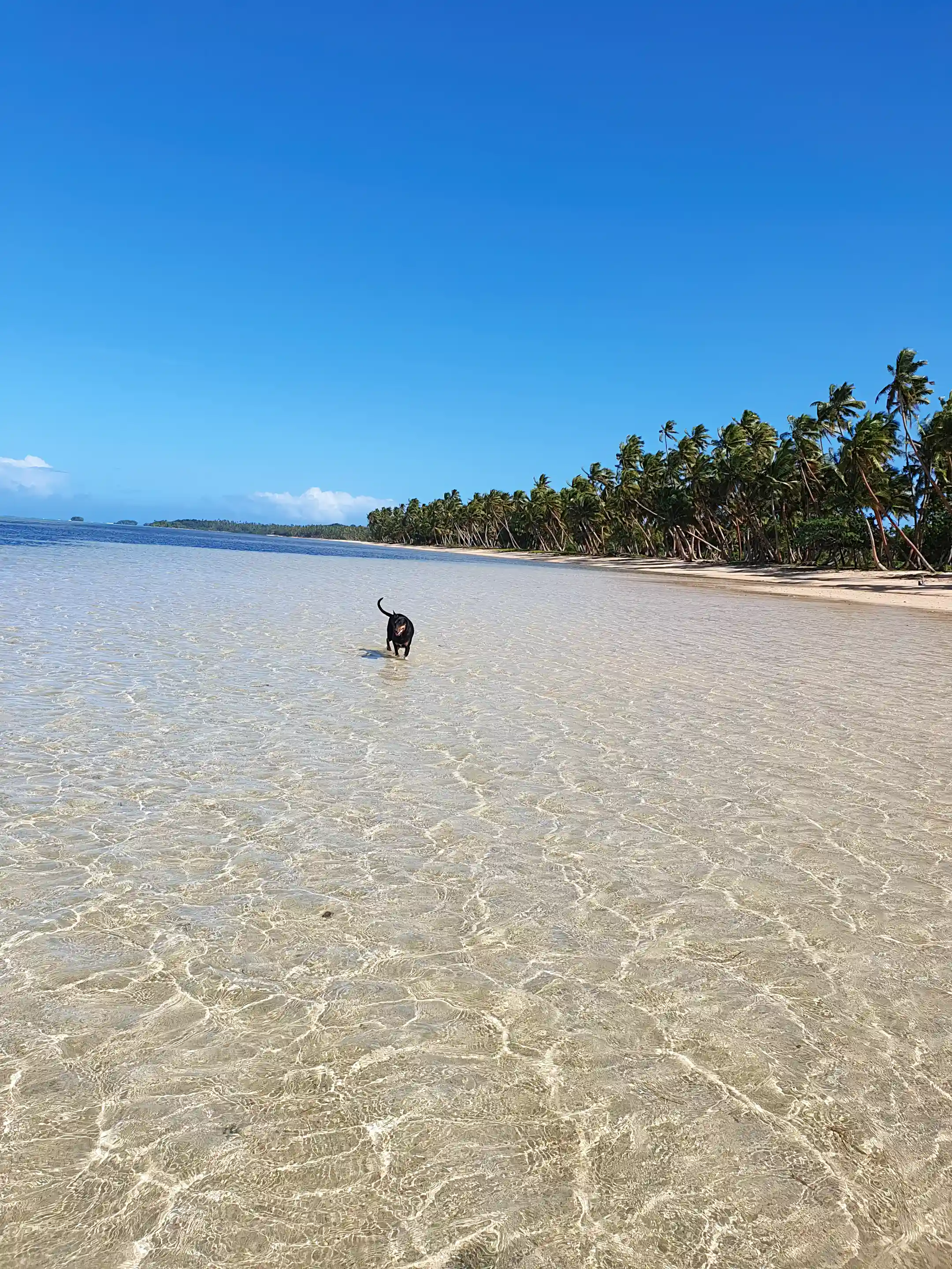 Fresh Clear water colors At low tide!