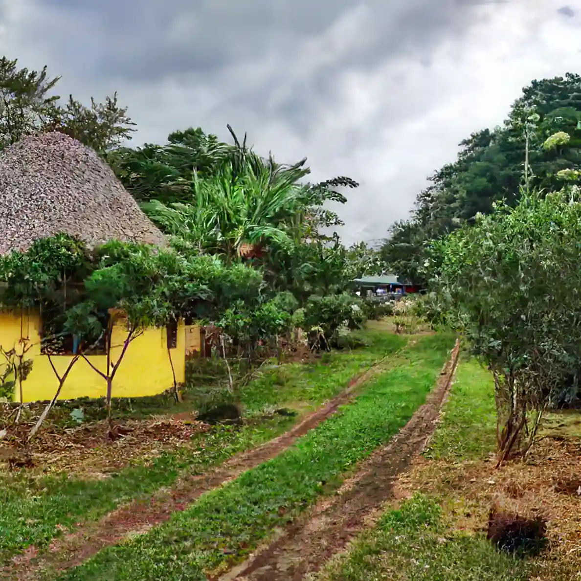 Yellow Cabin El Sol Path