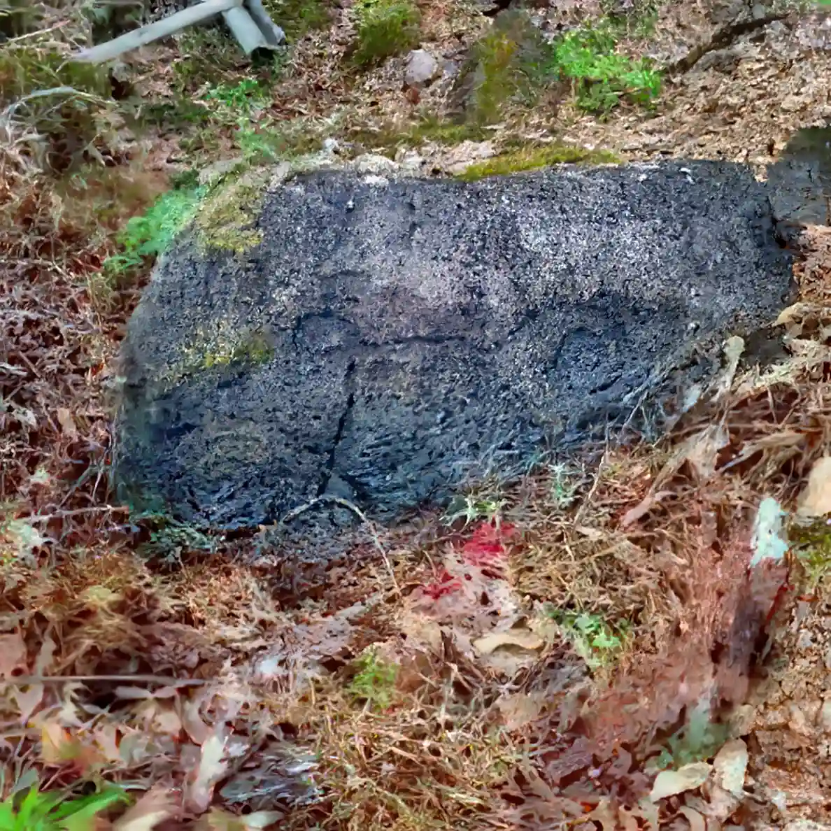 Petroglyphs