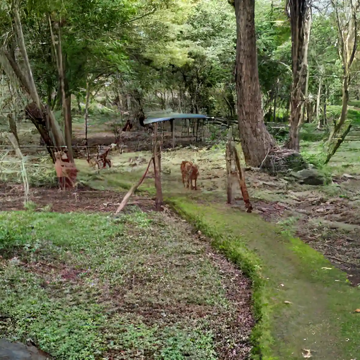 Pathways