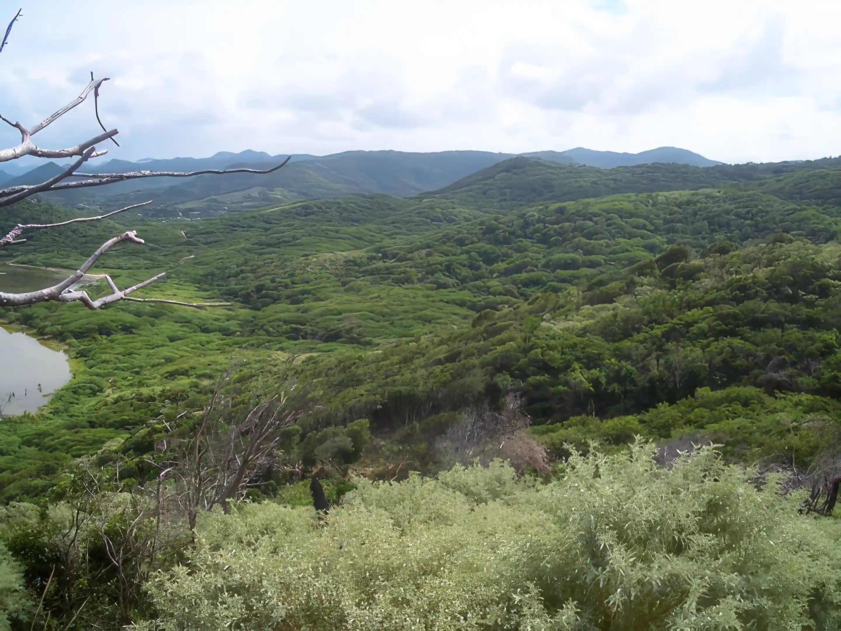 Ocean Front Land for Sale in Los Conucos, Monte Cristi, Dominican