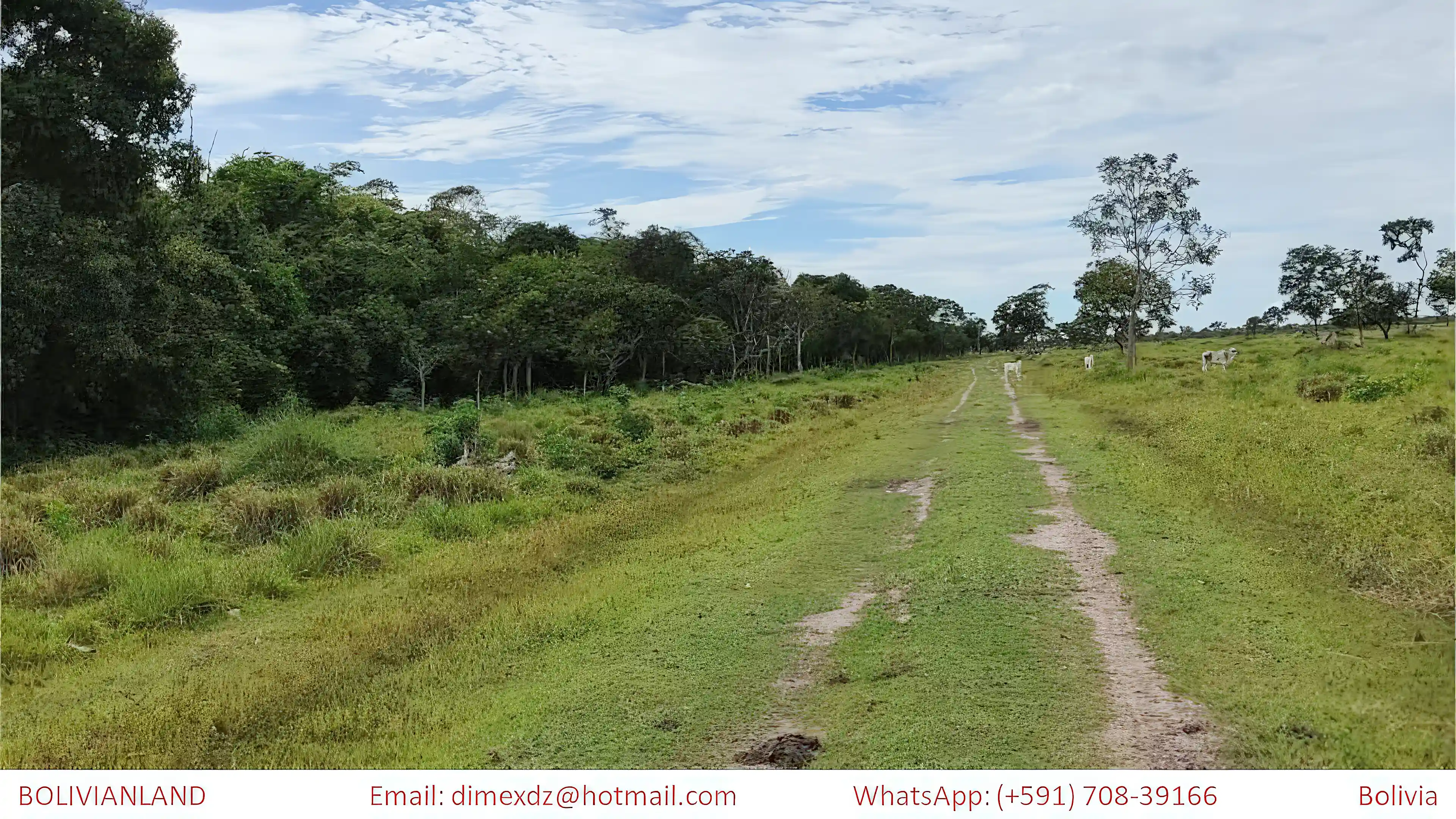 Cattle Ranch for Sale in Beni Department, Bolivia