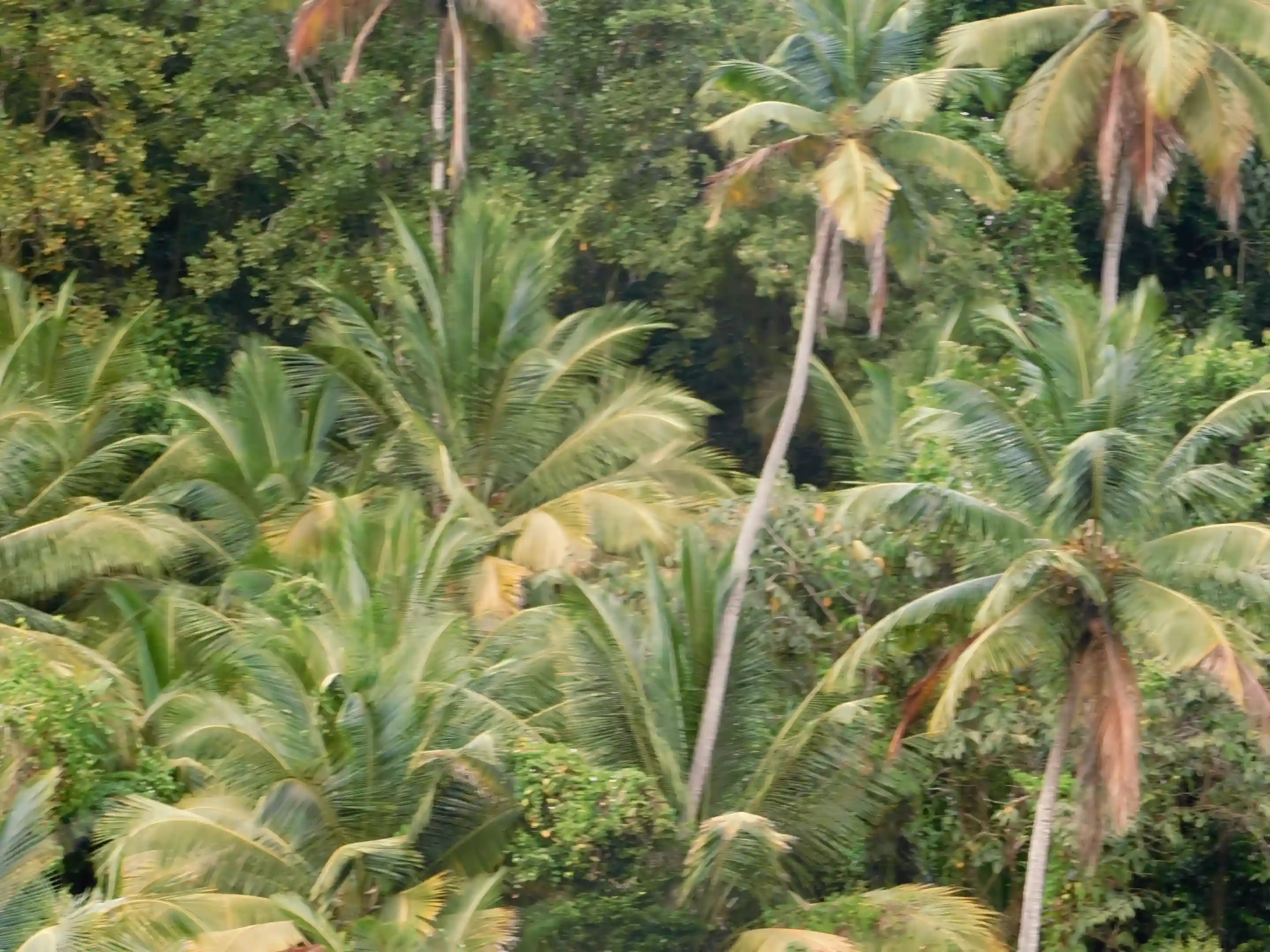 part of the mountain view