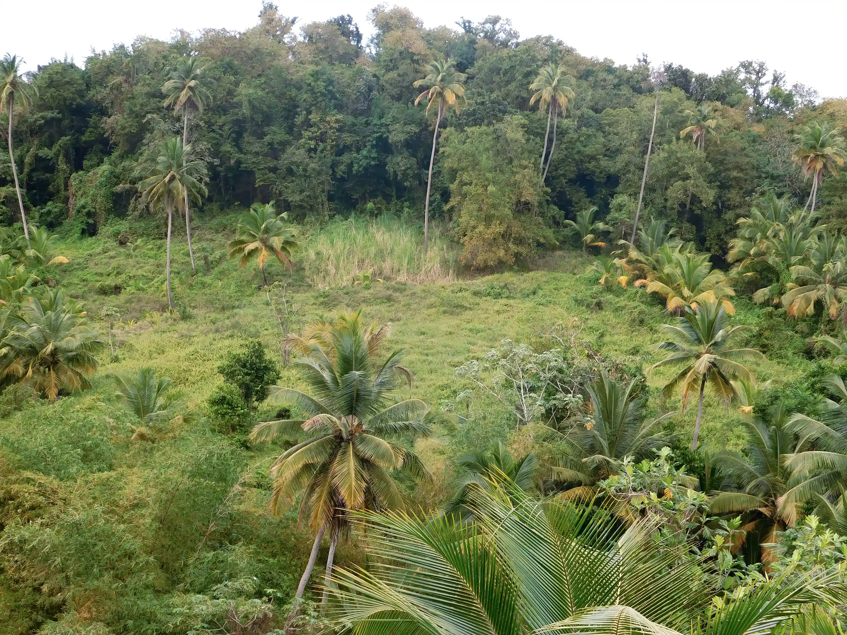 part of the Mountain view