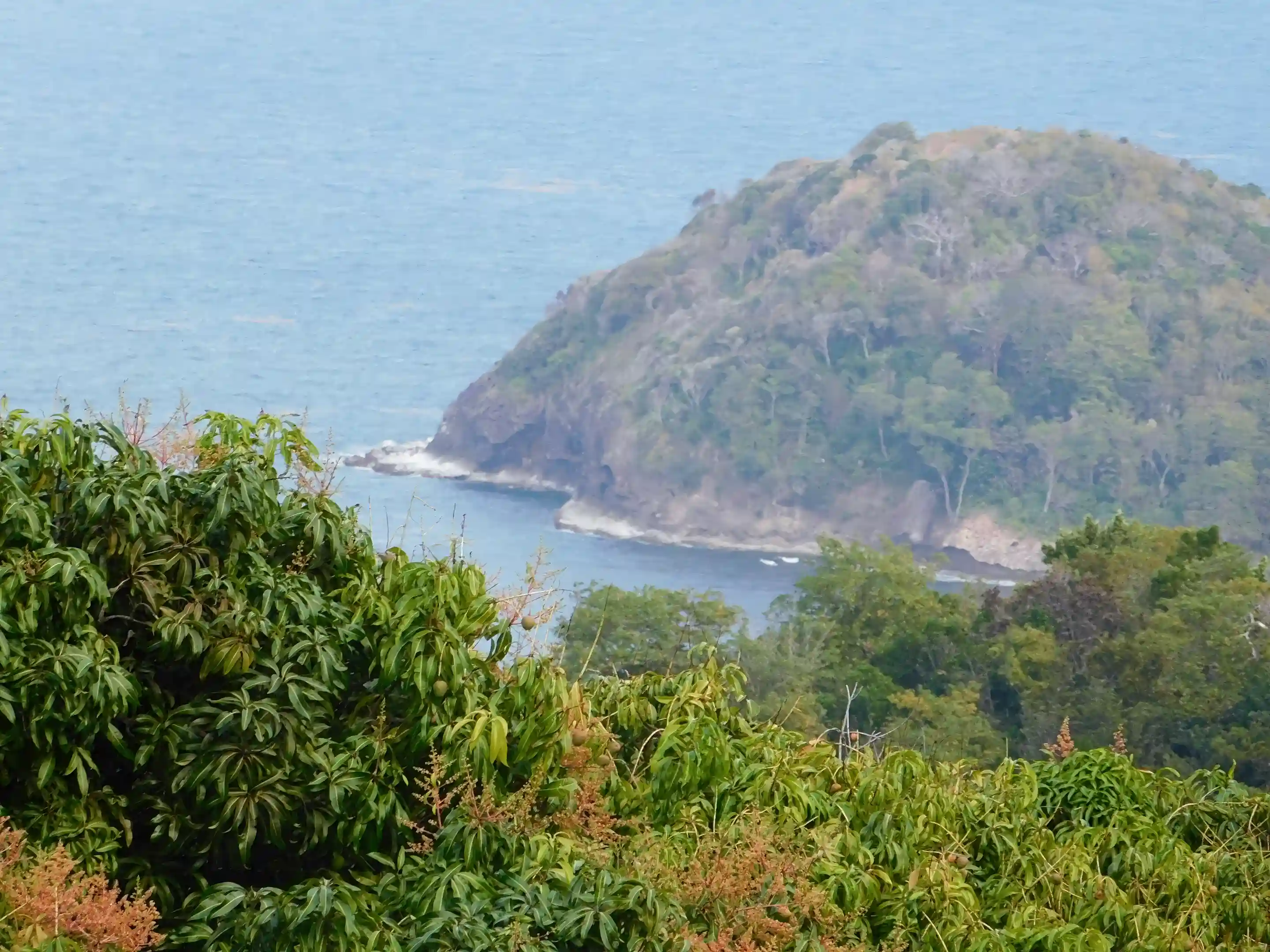 part of the view