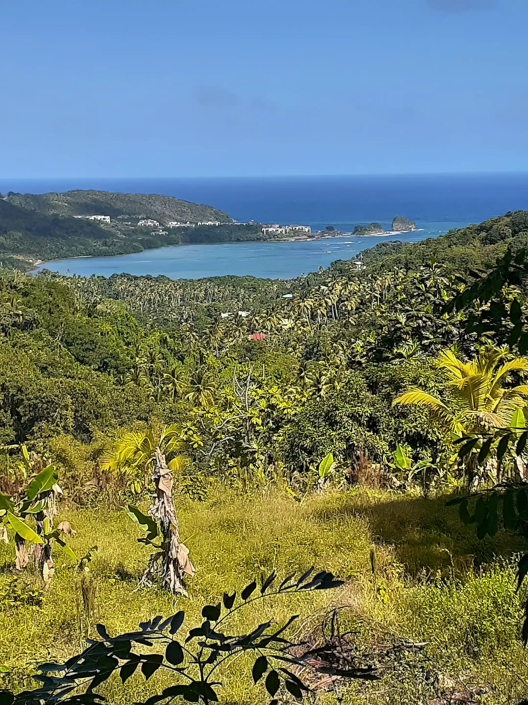 View