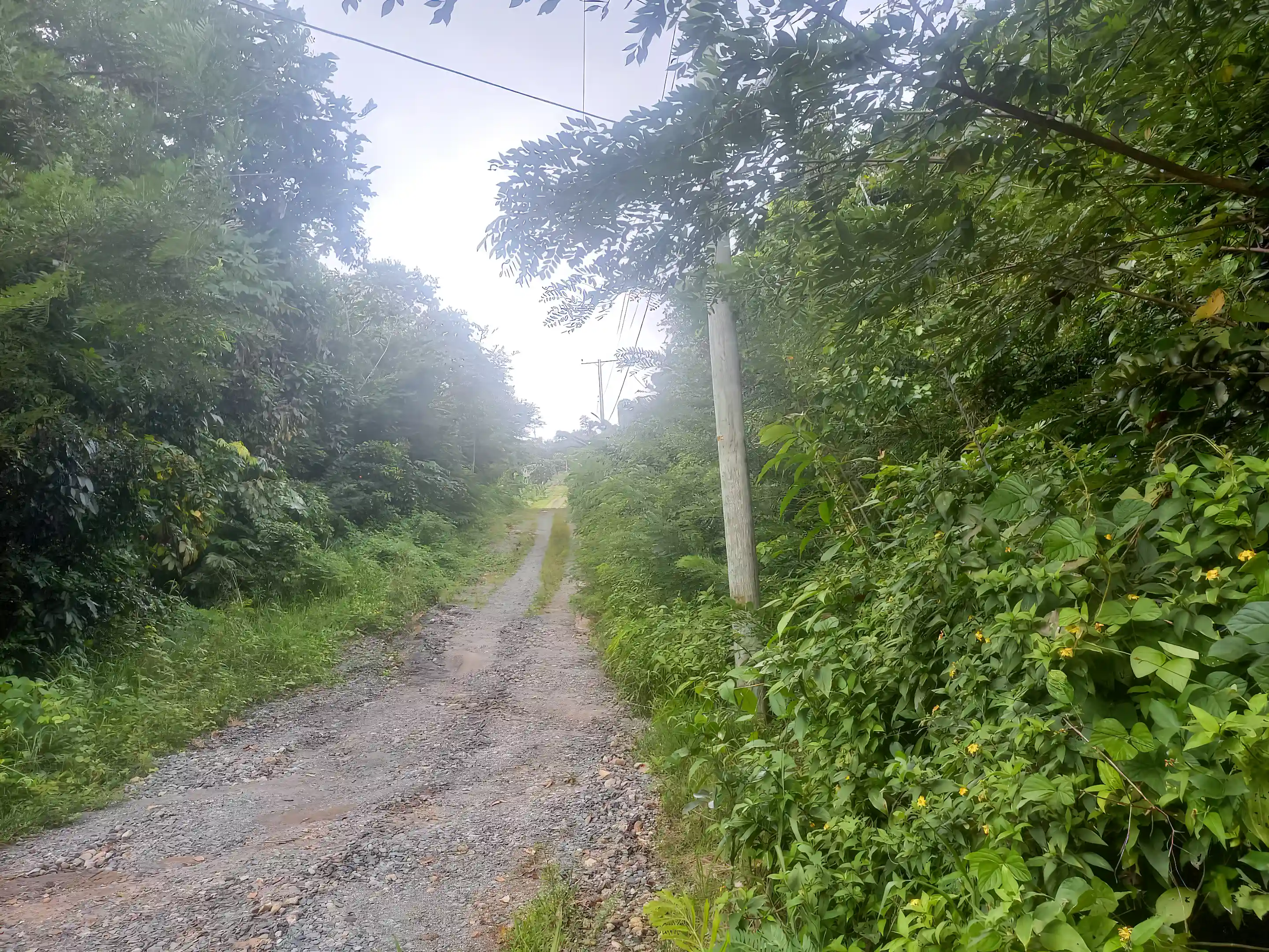 Elec pole on the road close by