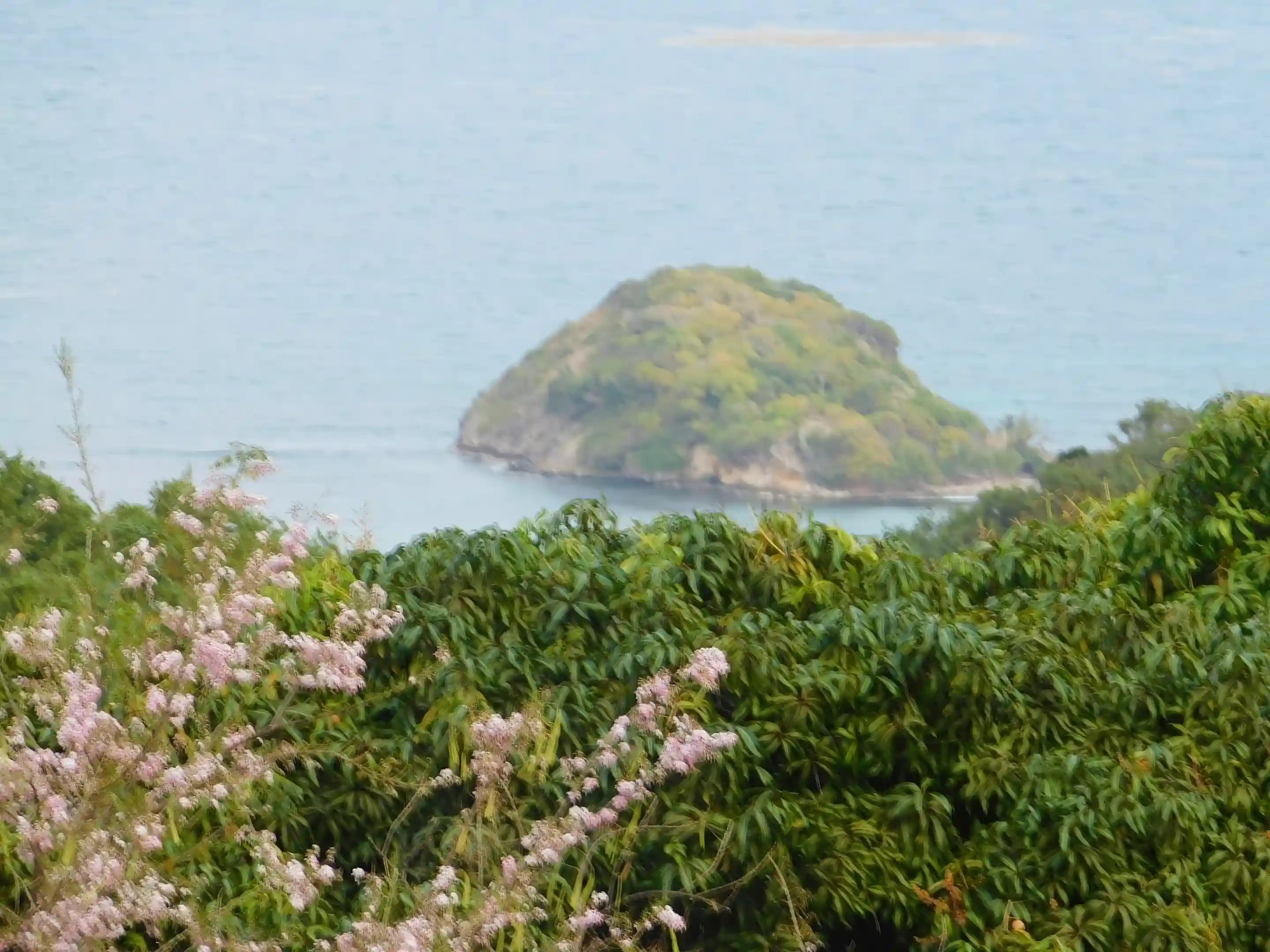 part of the view