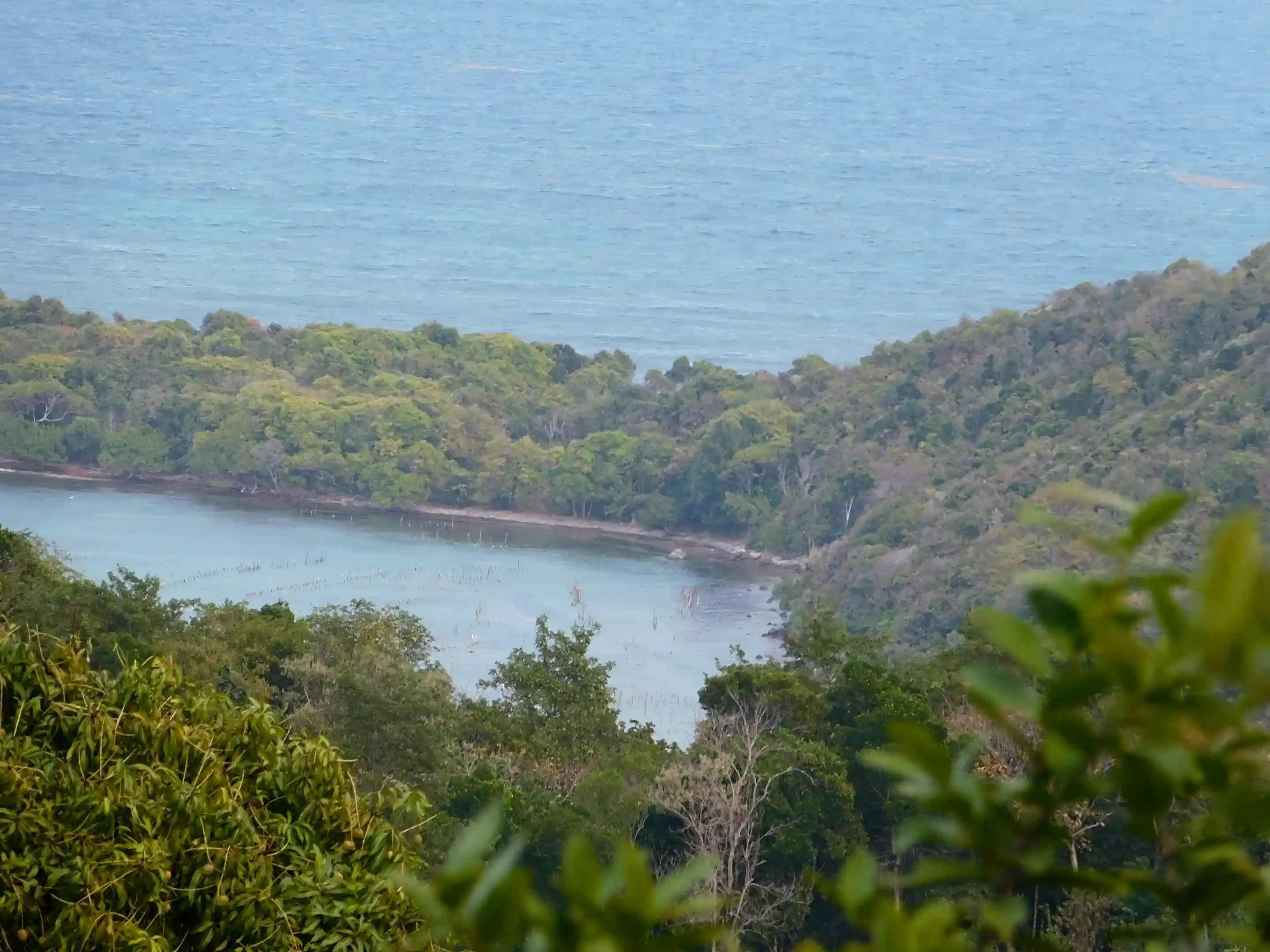 part of the view