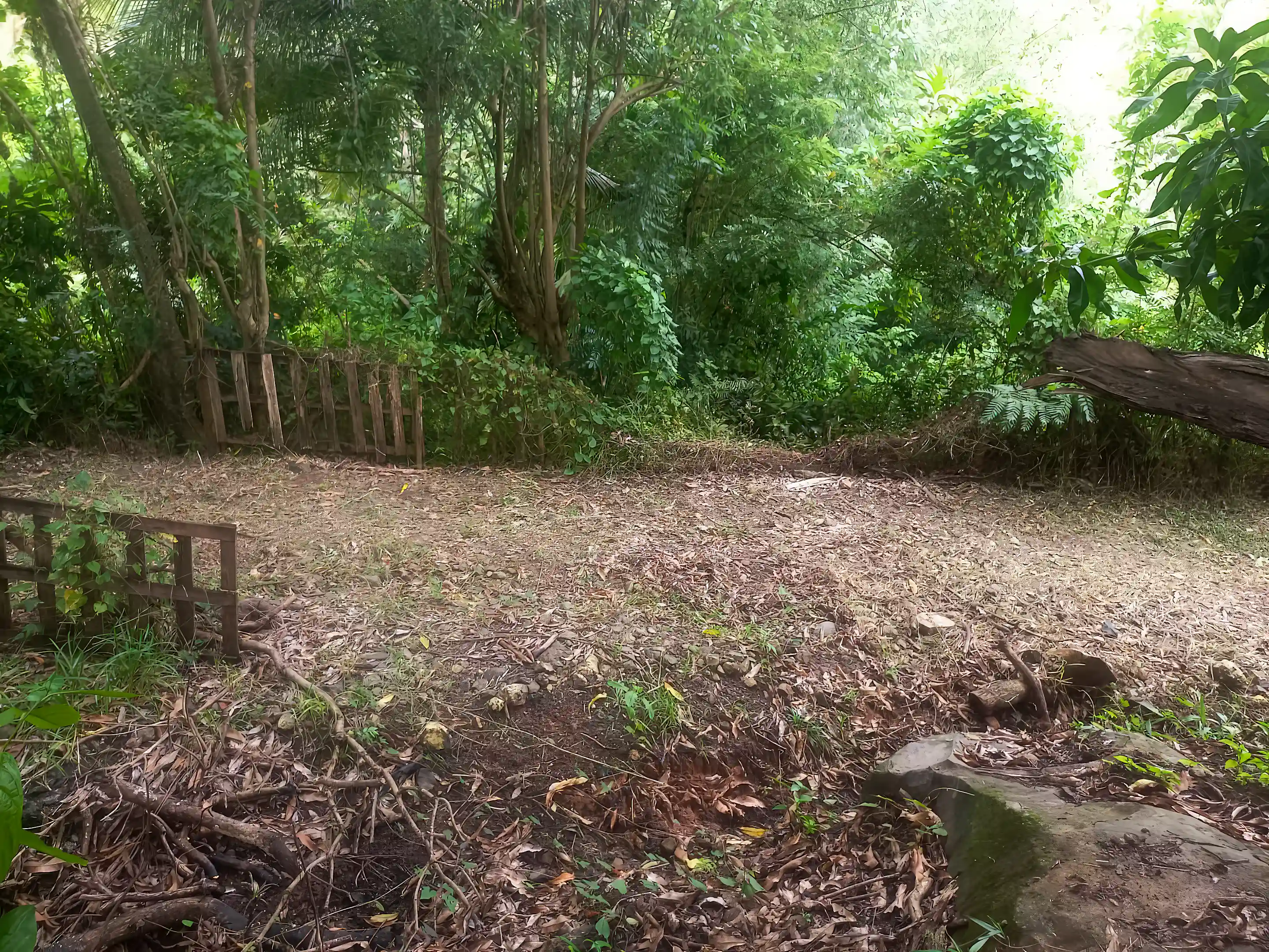 Nature