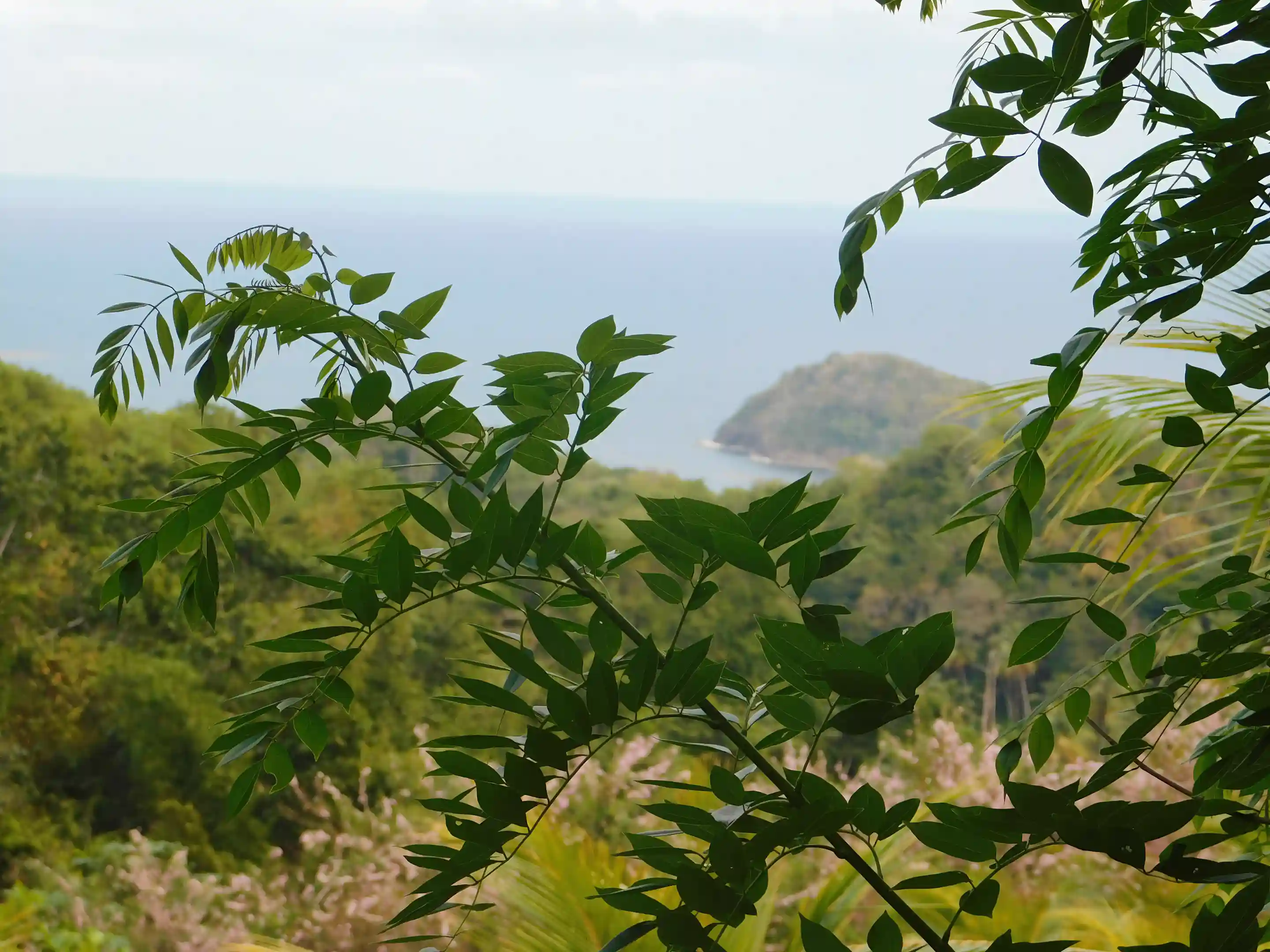 part of the view