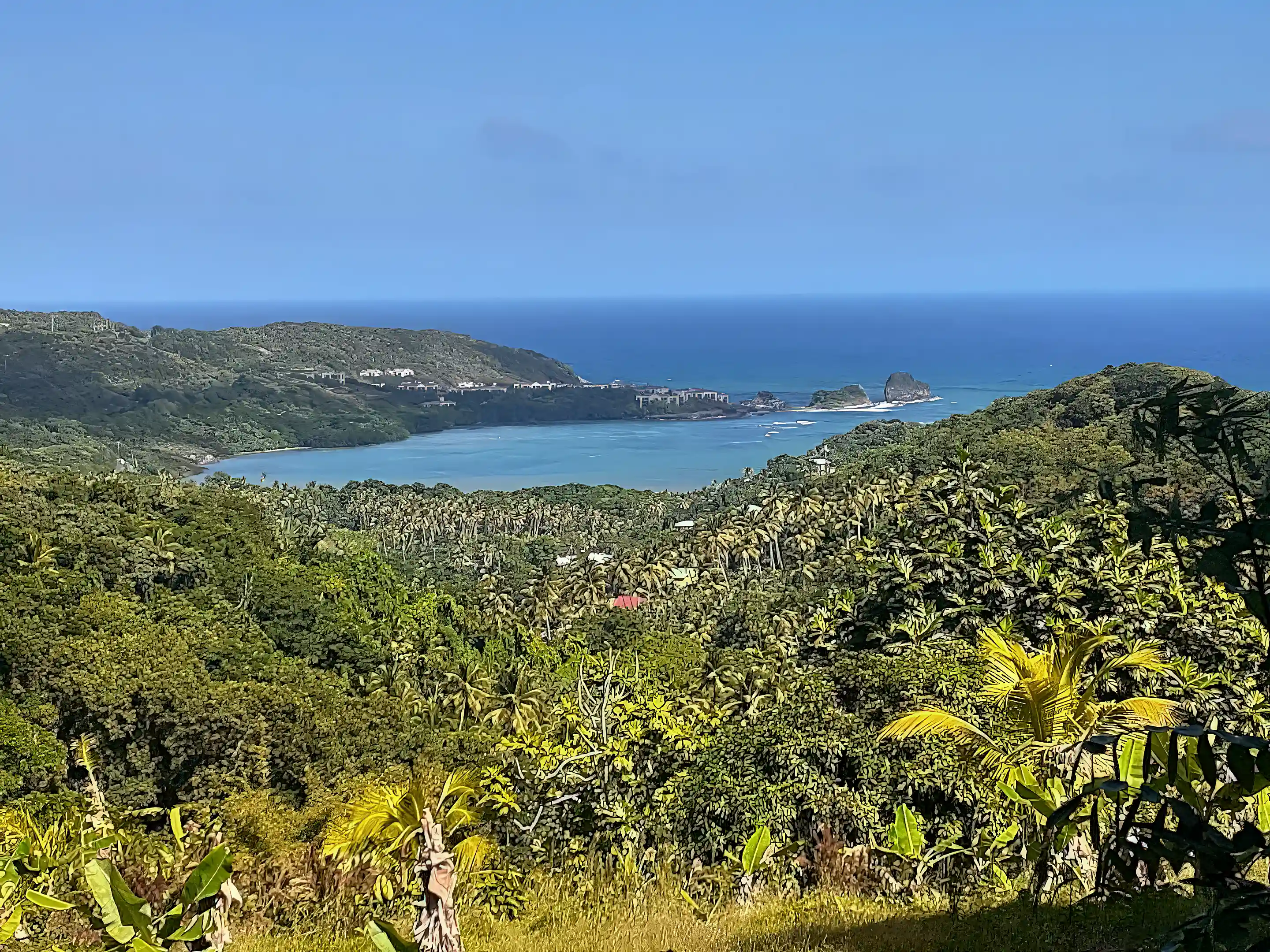 View