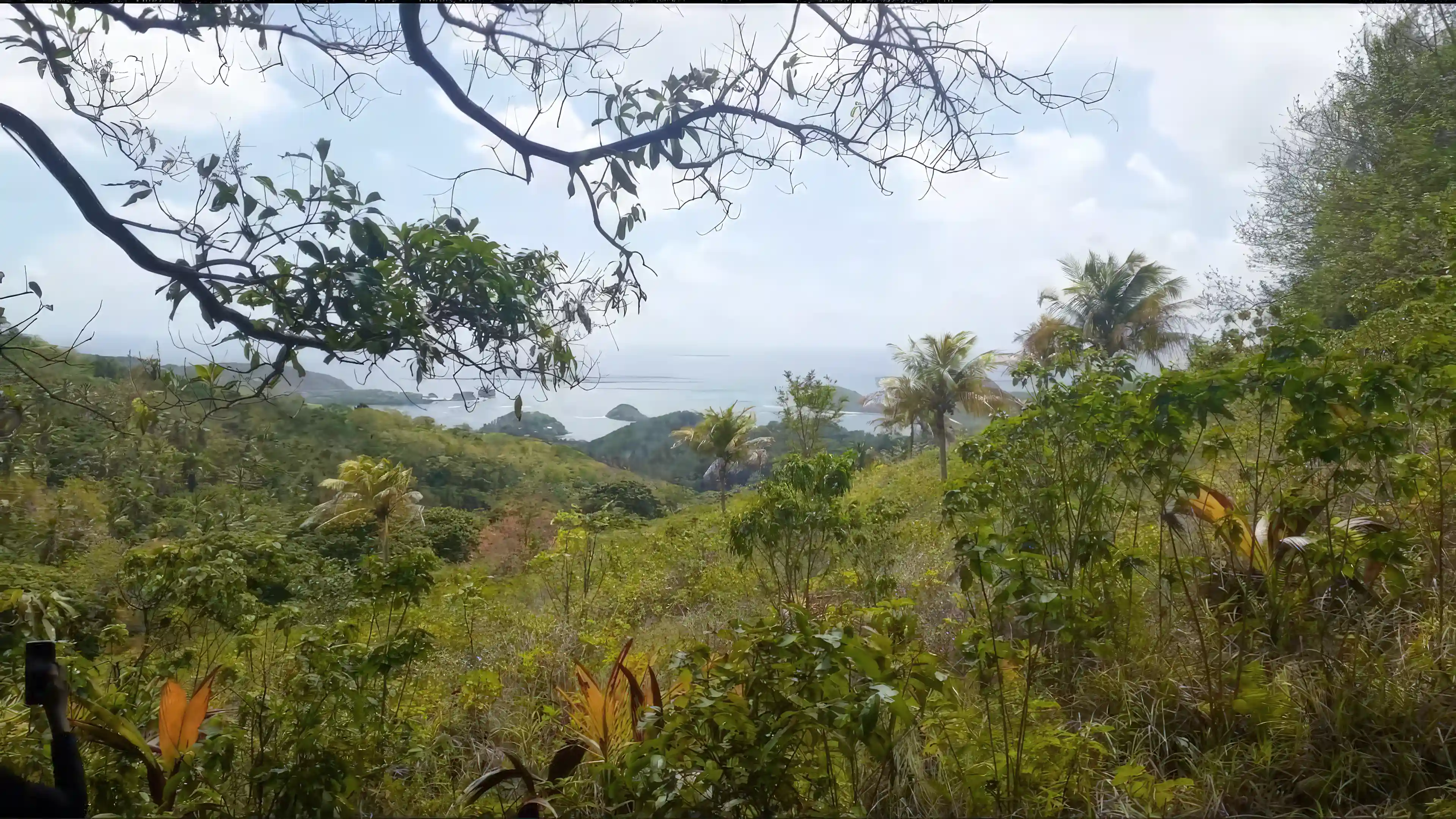 Lot/Land for Sale in Praslin St Lucia, Mon Repos, St. Lucia