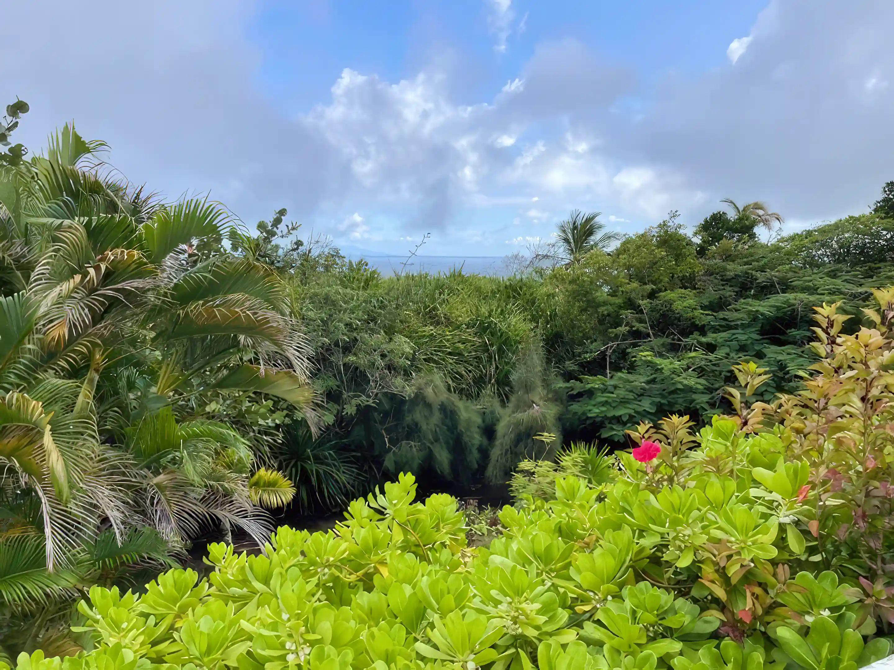 Distant sea view