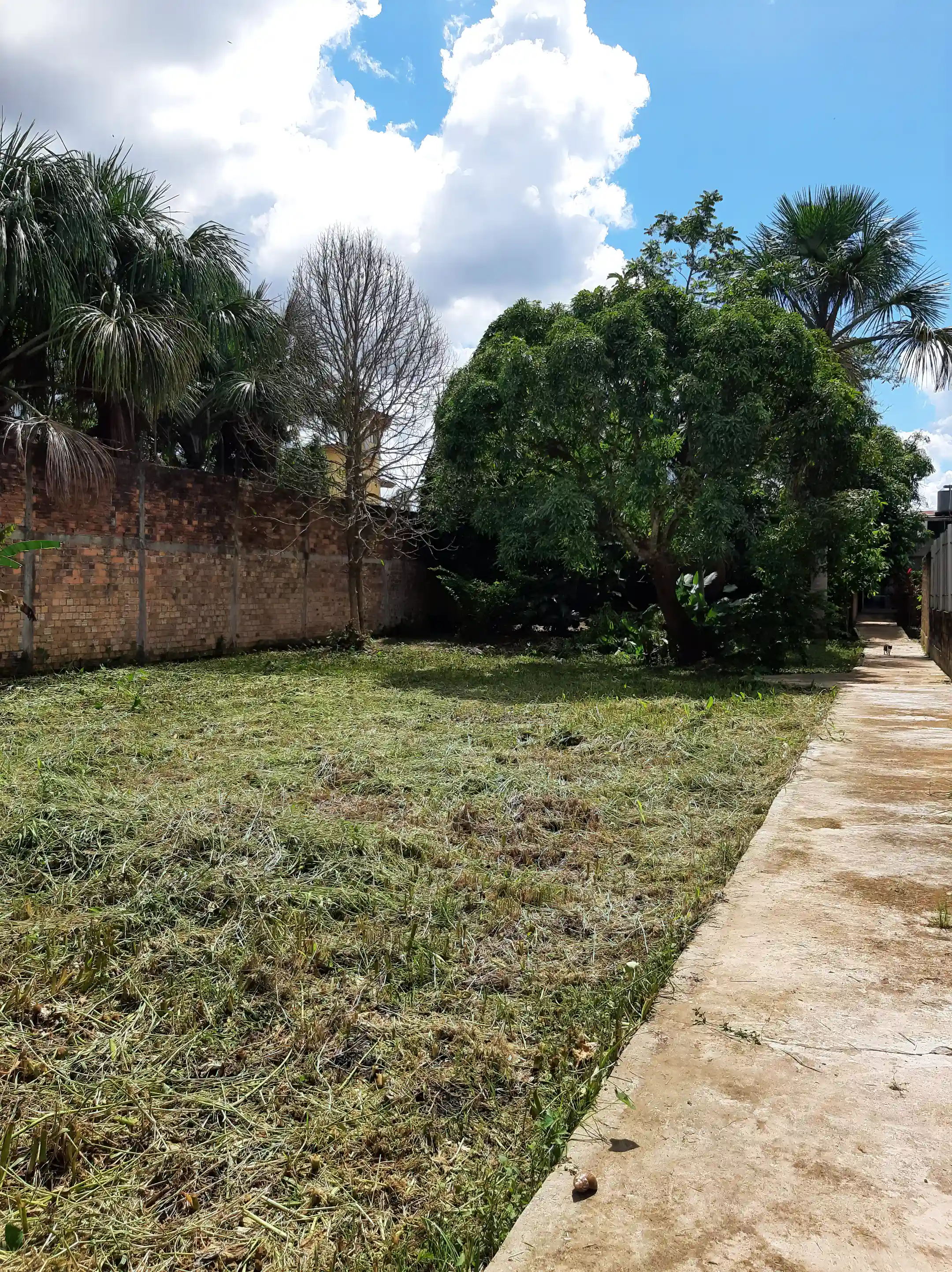 The back property