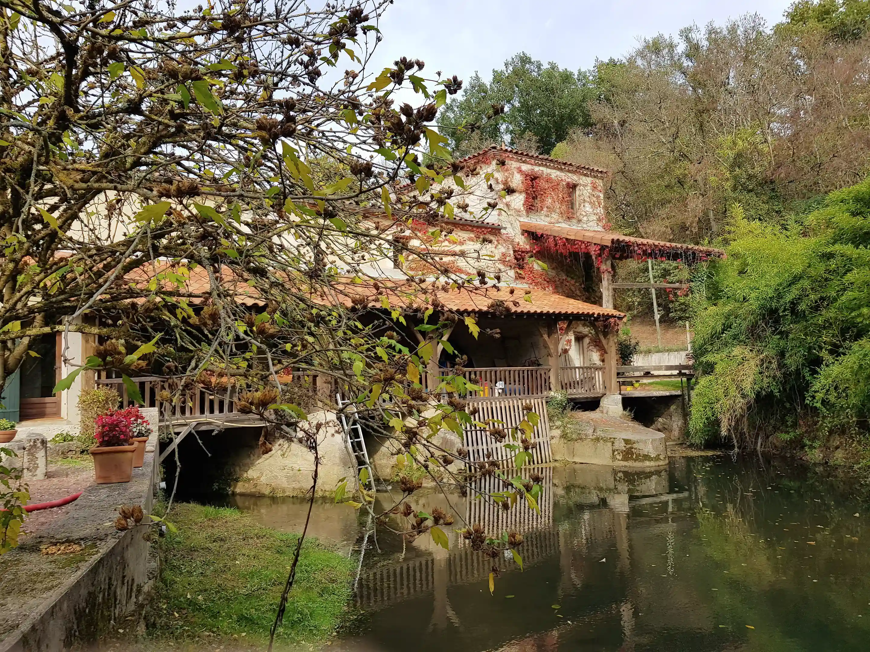 the owners residence