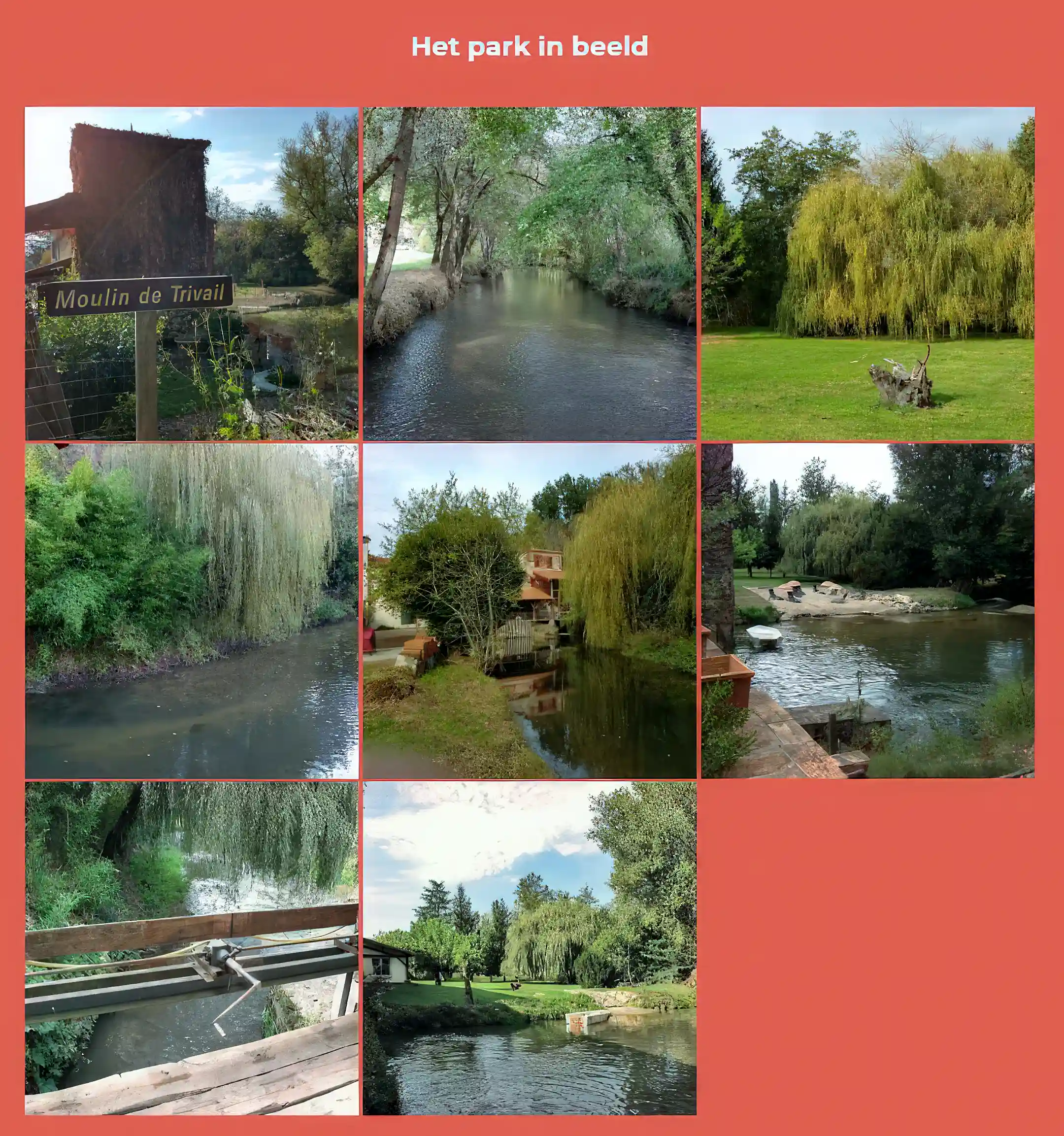 a vieuw in the parc