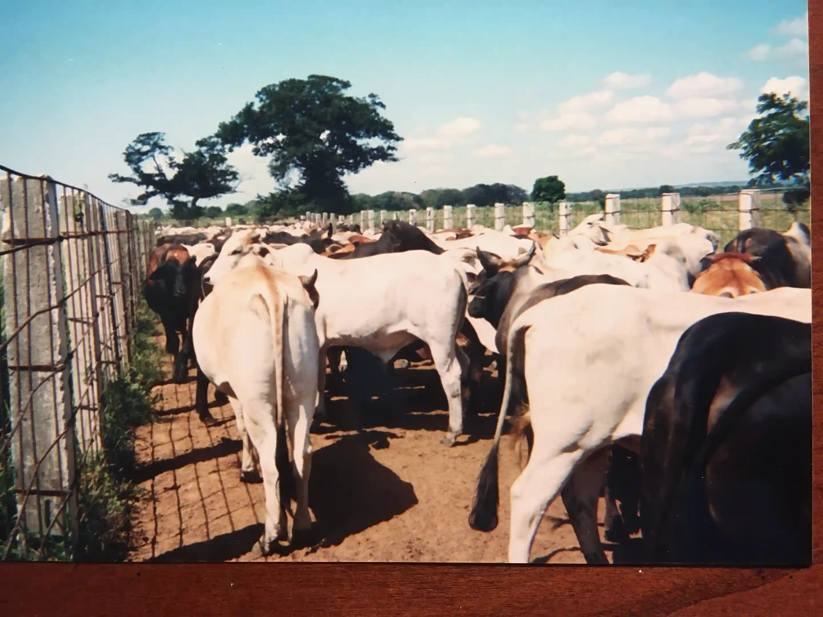 Land, Homes, Barns for Sale in Avenida Perimetral, Ciudad Bolivar