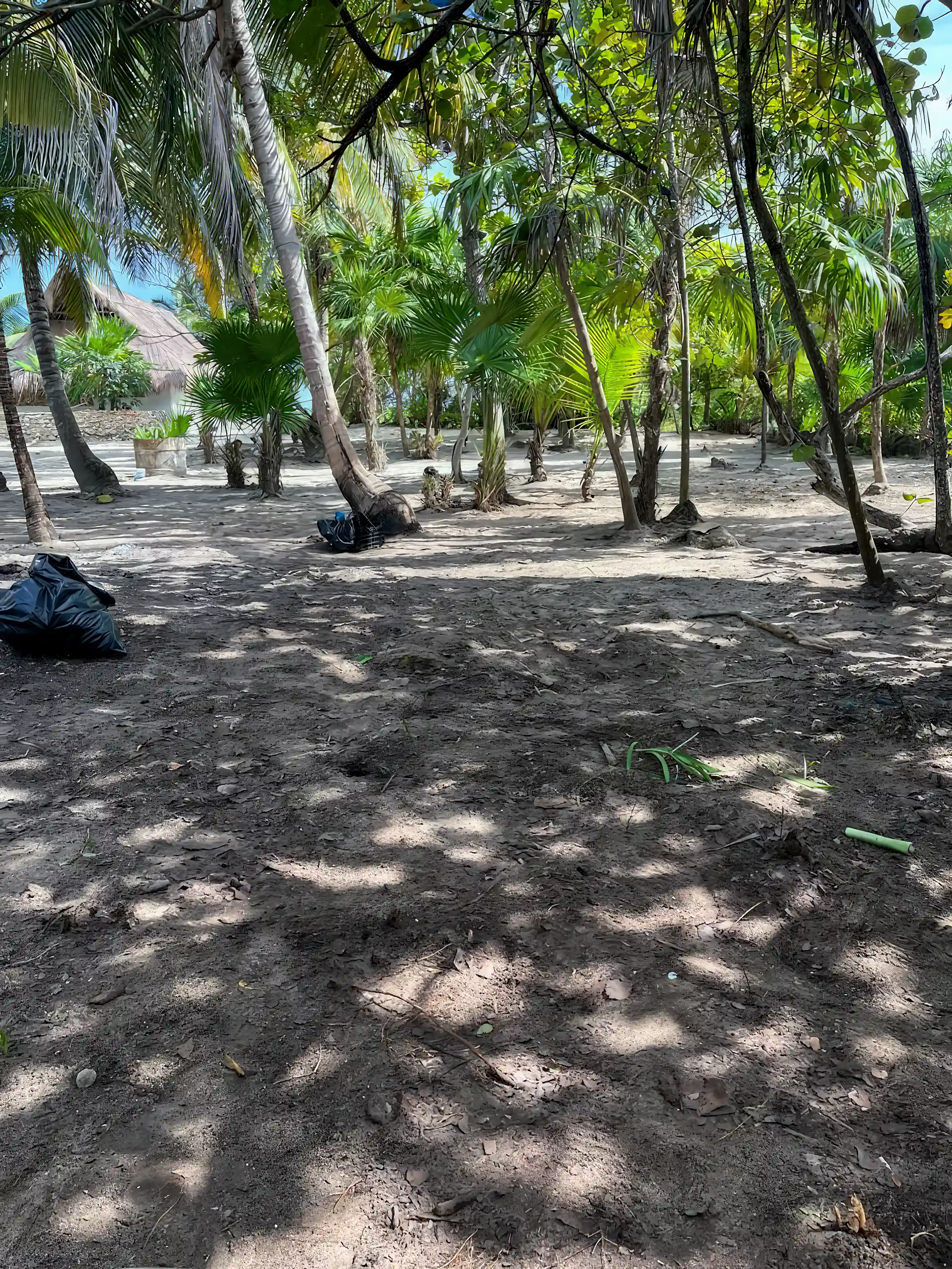 back lot looking toward the house/beach lot