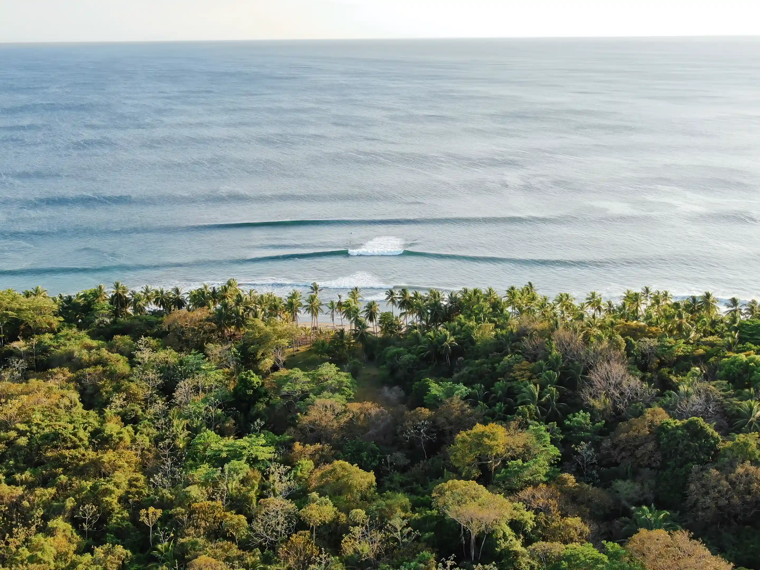 Buildable Beachfront for Sale in Cebaco, Veraguas, Panama