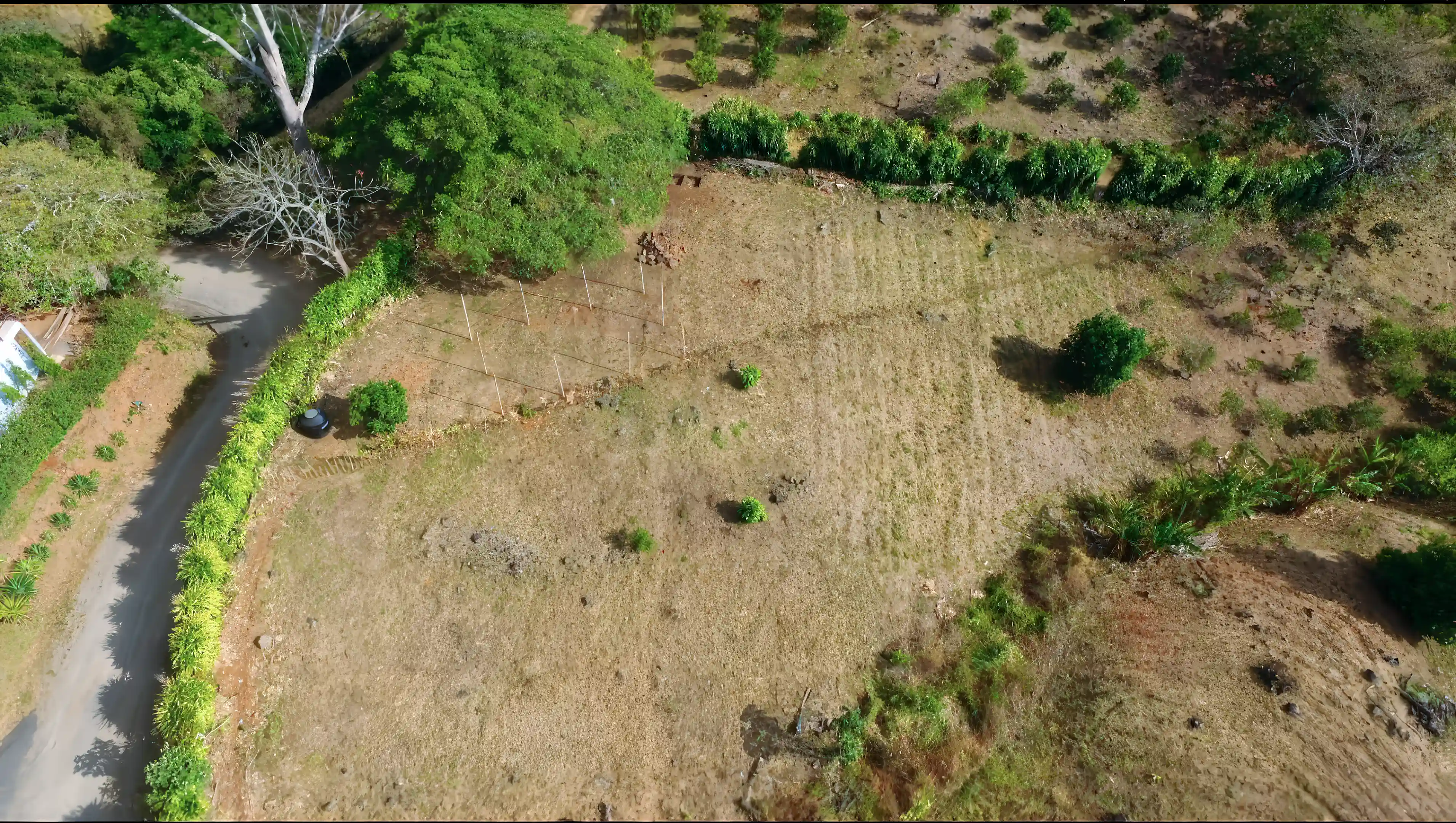 3.8 amazing acres