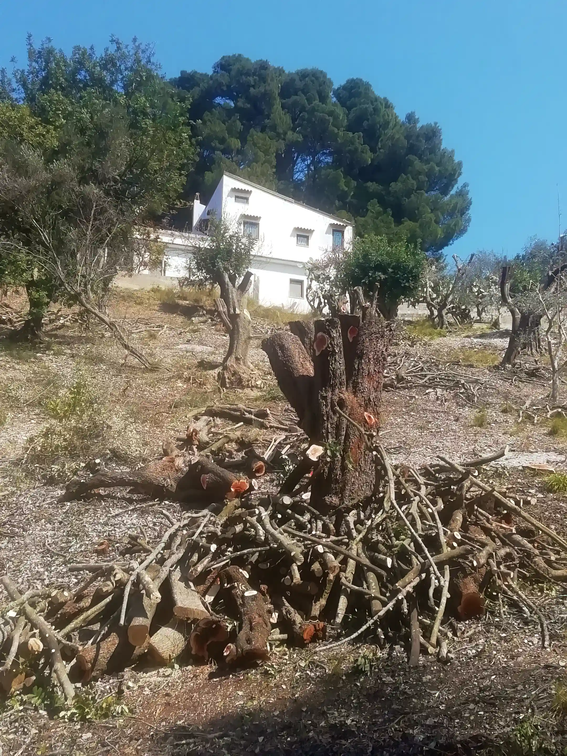 view from the property