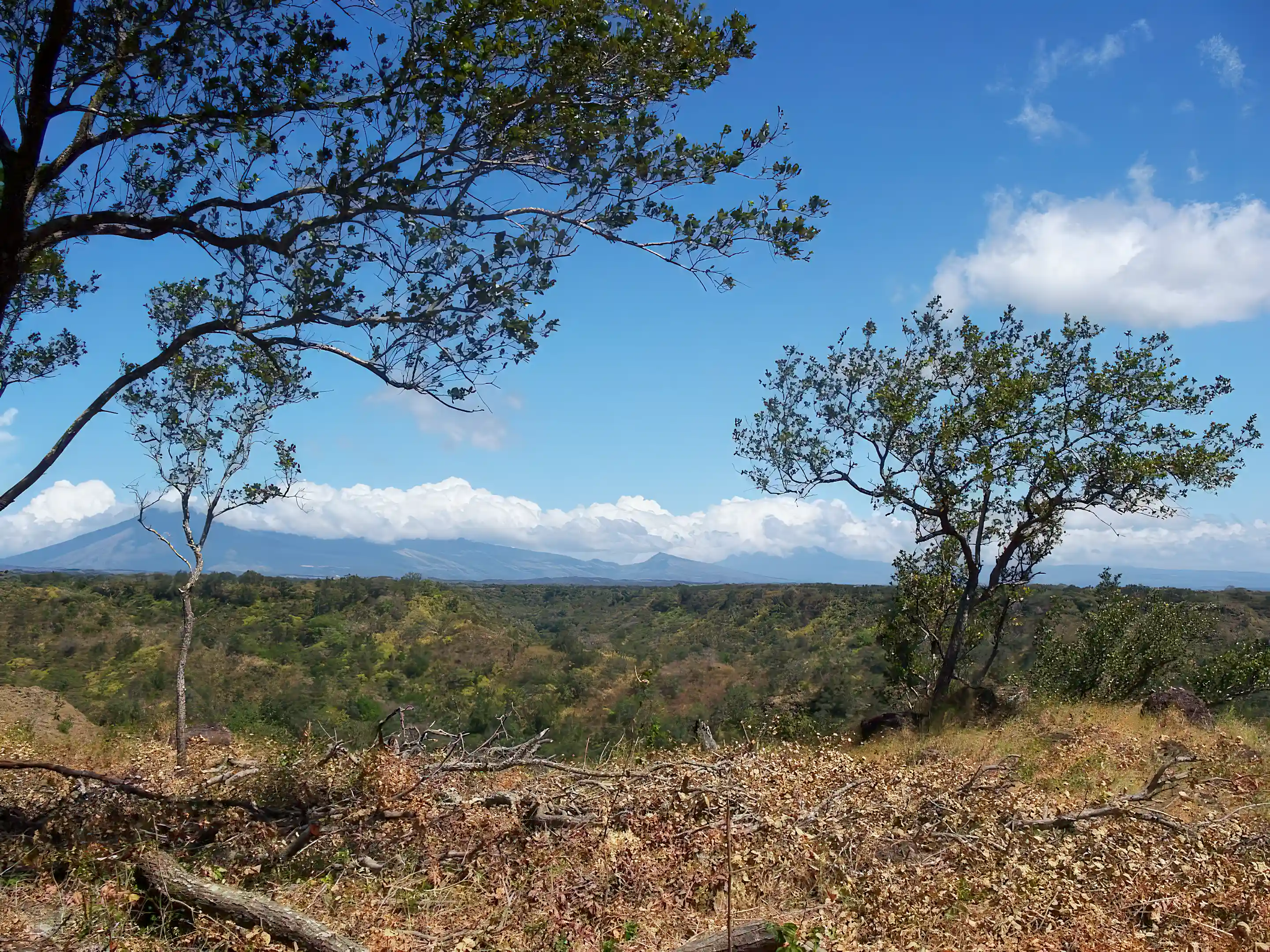 Ranch for Sale in Bagaces, Guanacaste, Costa Rica