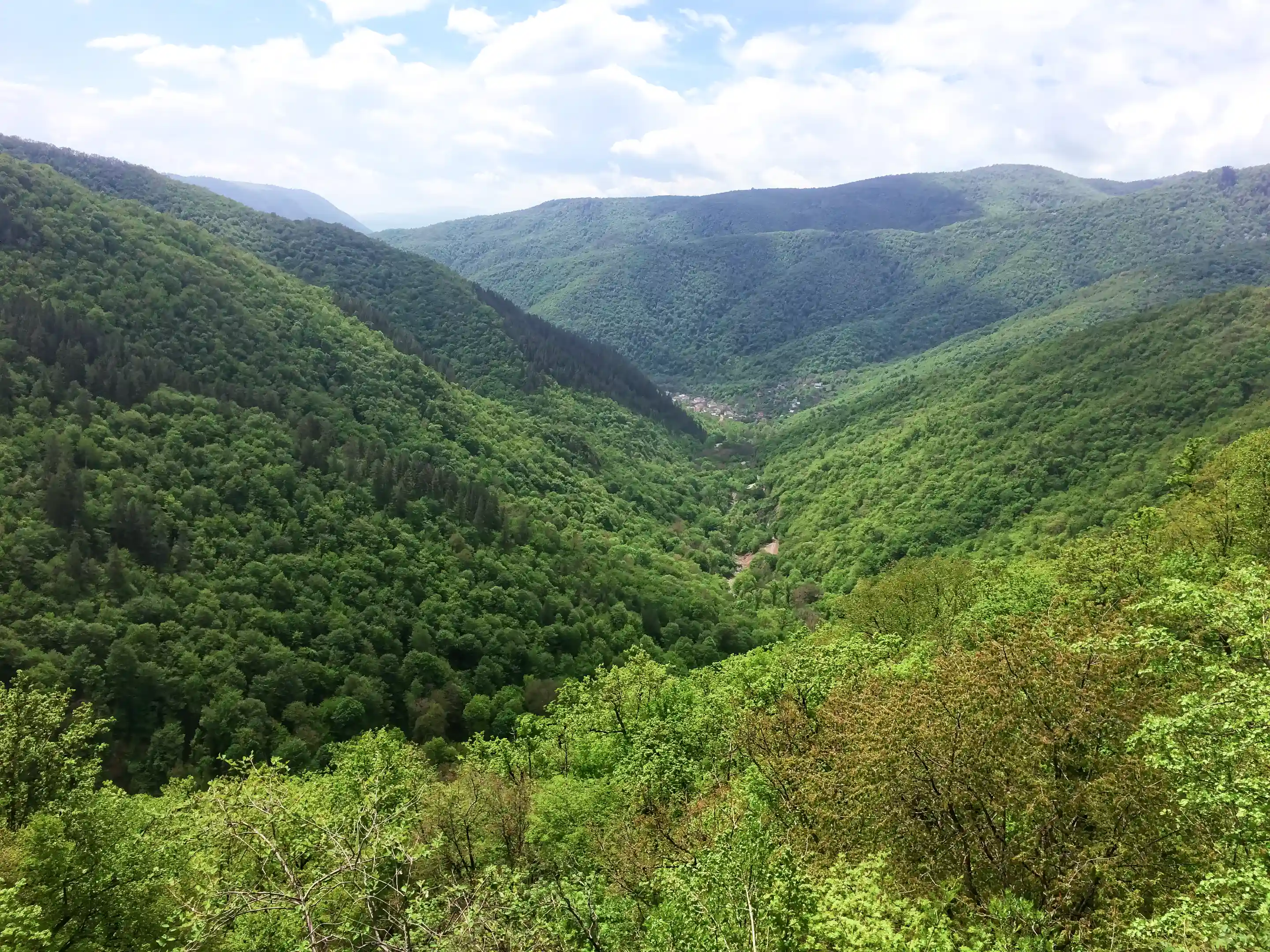 Golden Valley