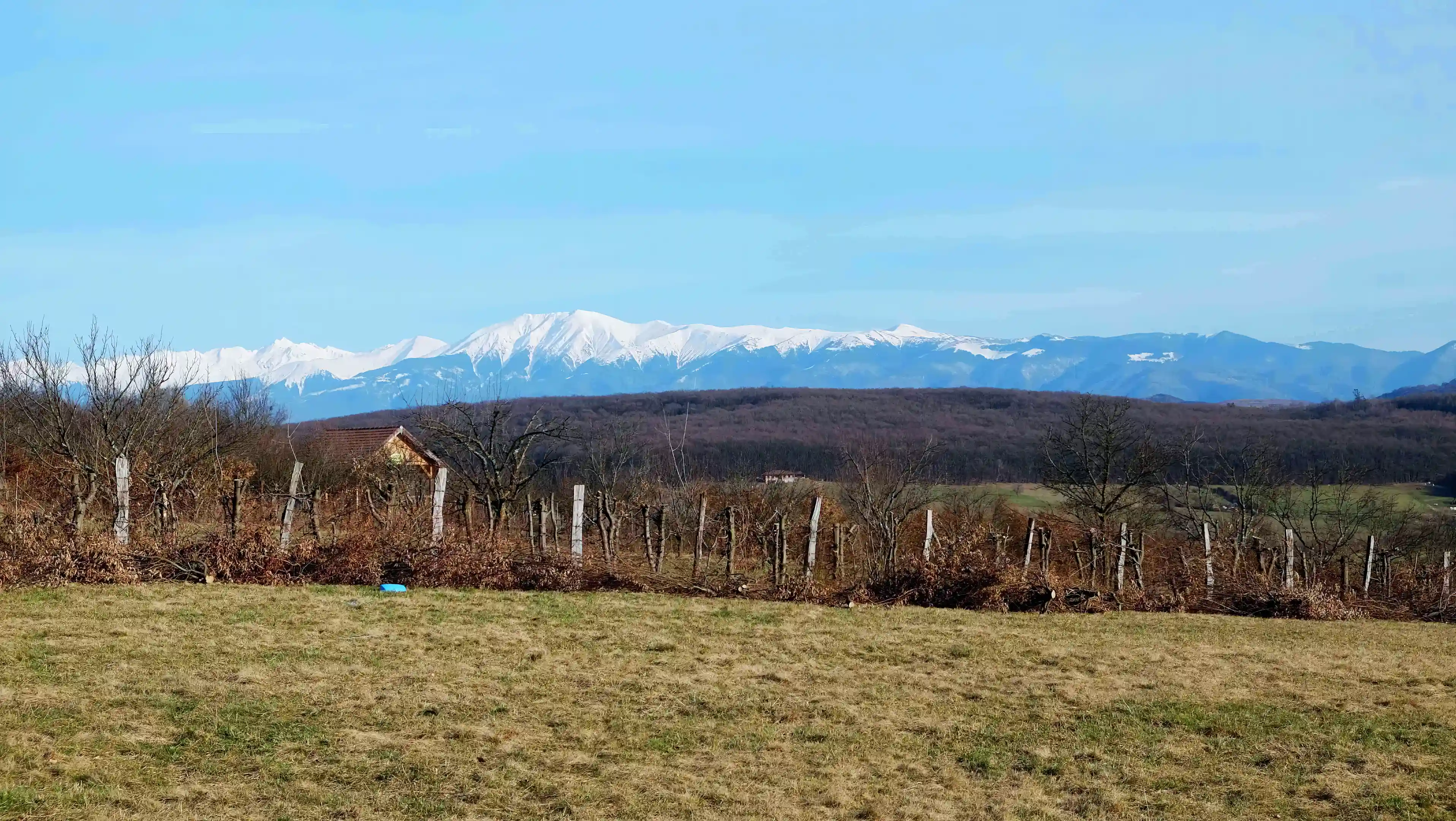 Land for Sale in Cisnadie/Tocile, Sibiu, Romania