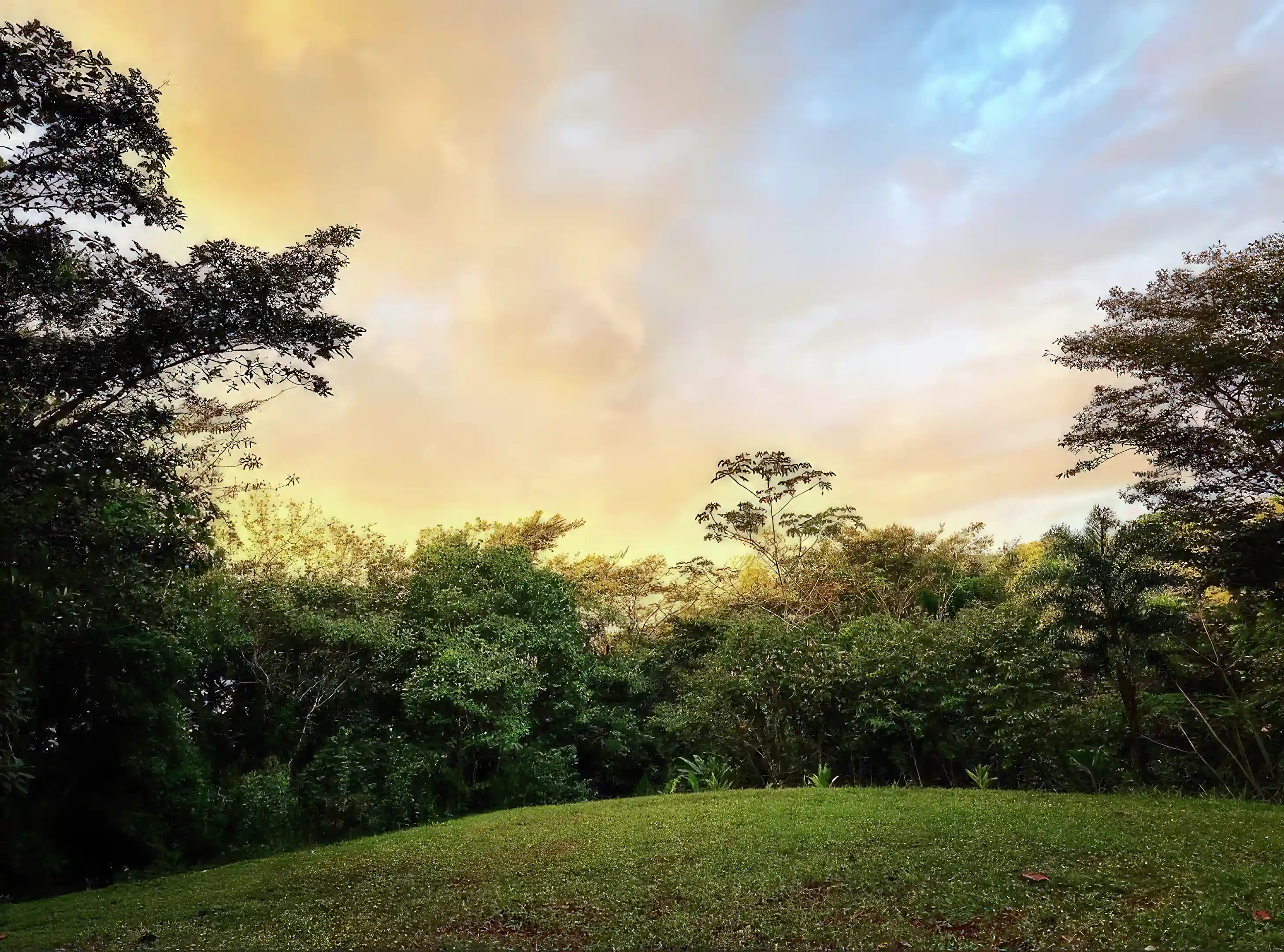 Lot/Land for Sale in 11 Calle Perico, Torio, Veraguas, Panama Viviun