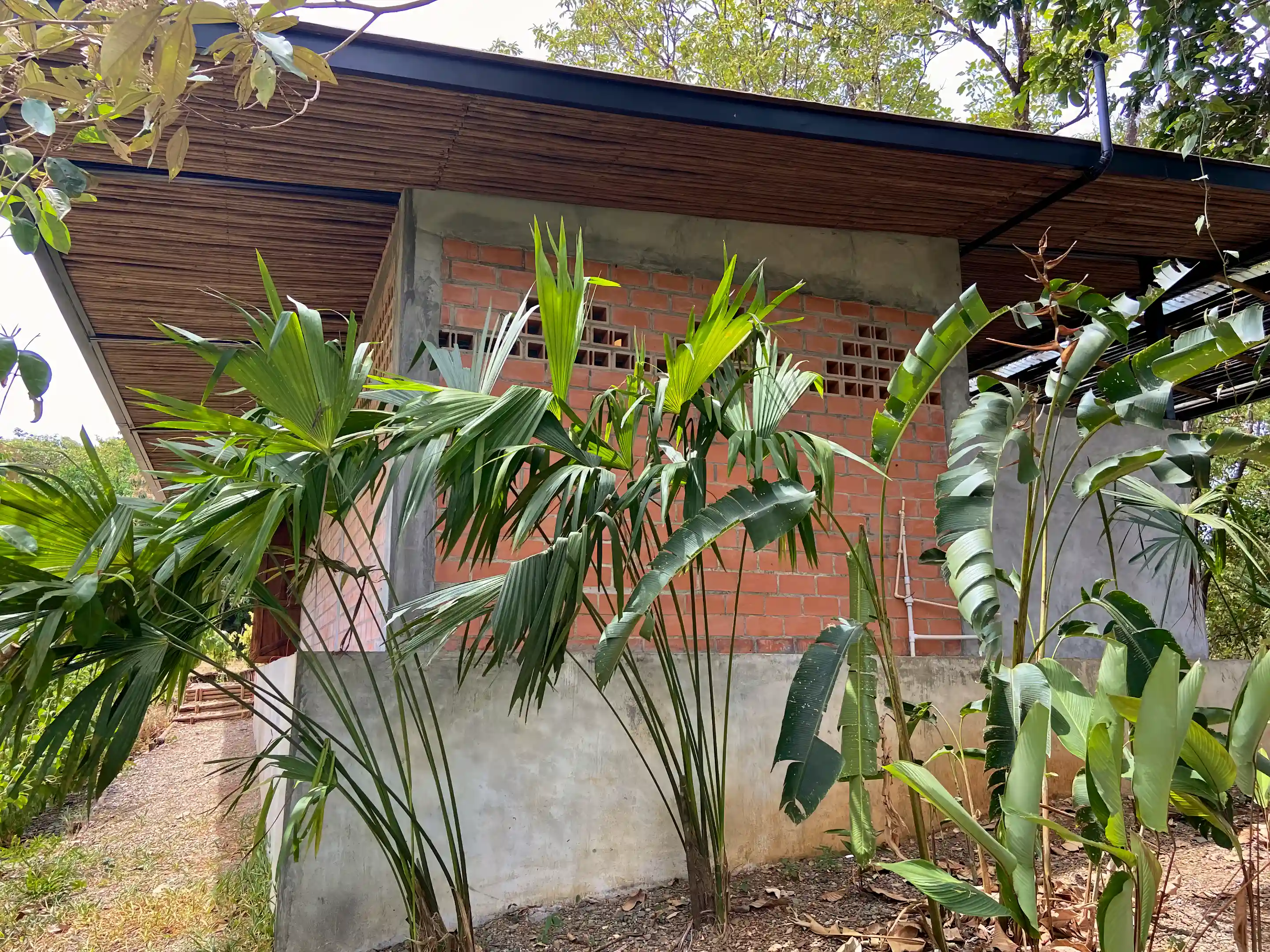 Lot/Land for Sale in 11 Calle Perico, Torio, Veraguas, Panama Viviun