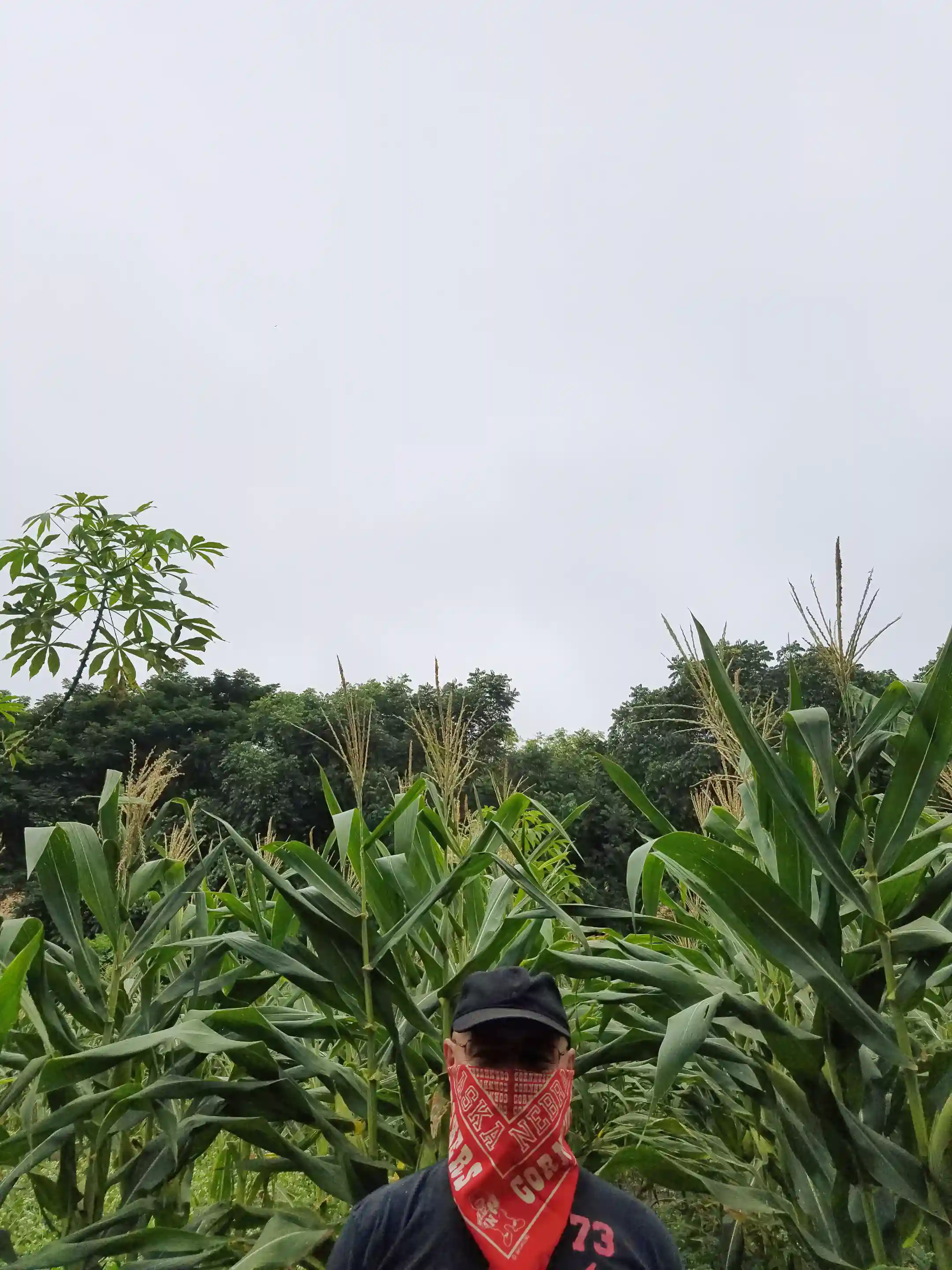 farm-ranch-for-sale-in-san-vicente-manabi-ecuador-viviun