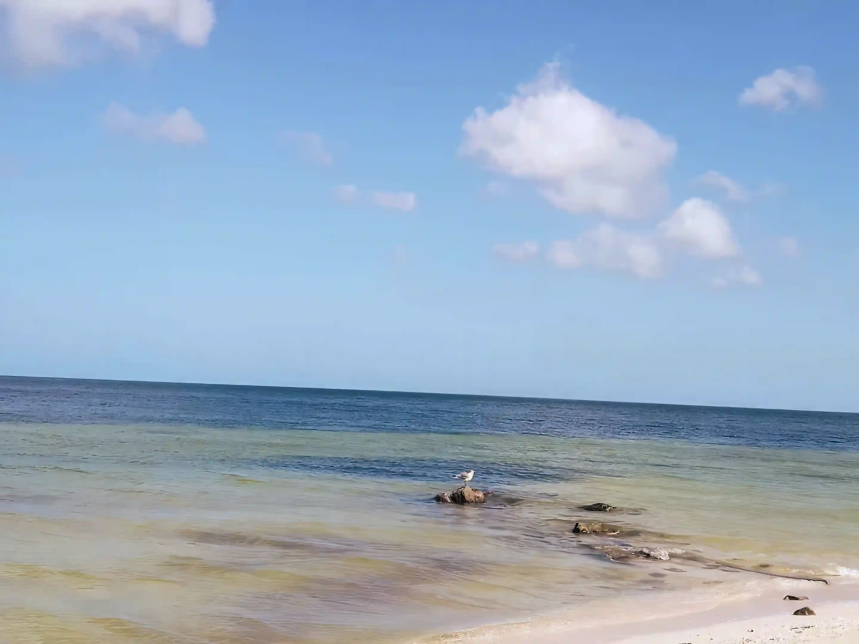 2 Bedroom House for Sale and Rent in San Crisanto, Yucatan, Mexico