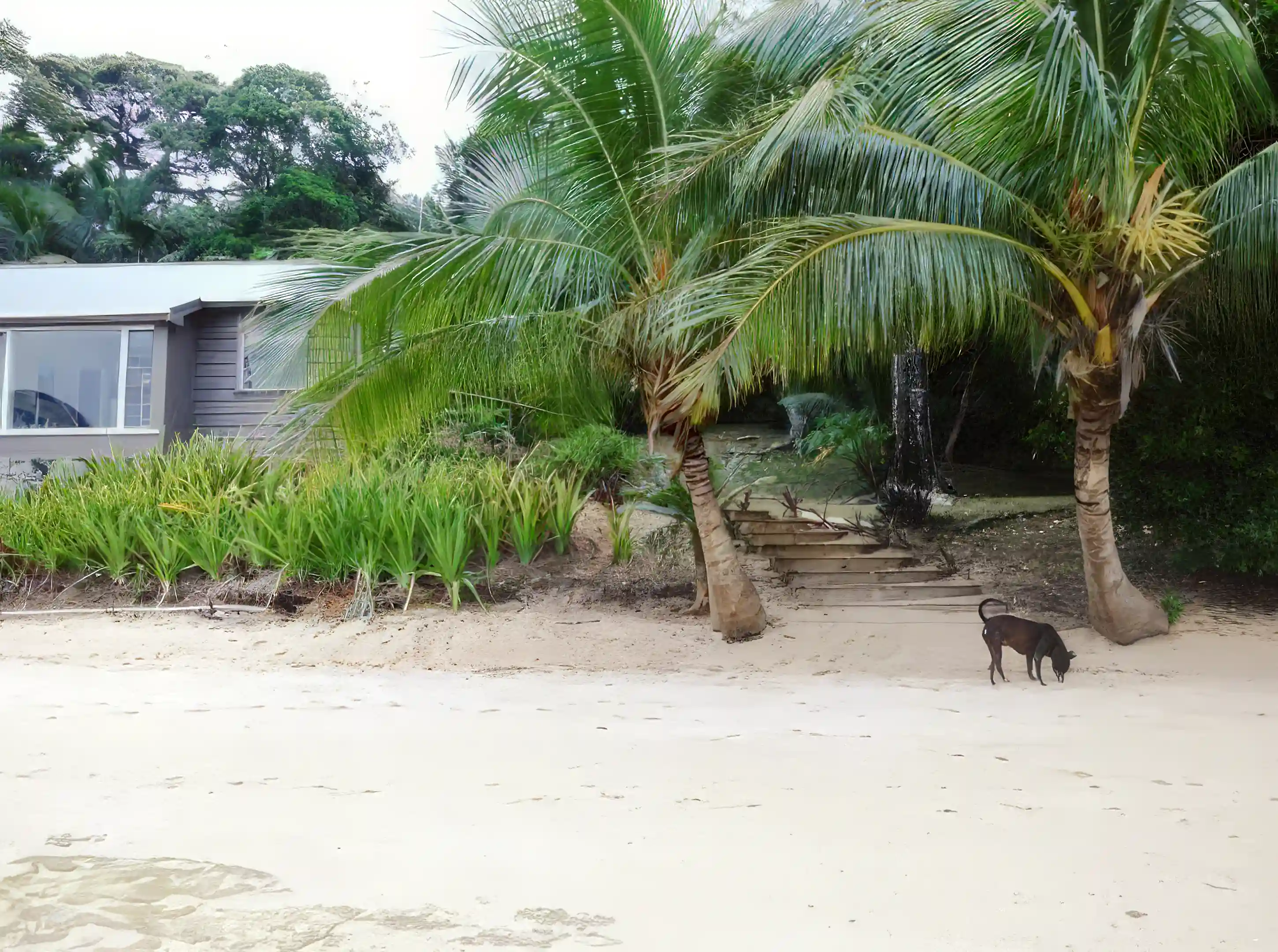 Furnished House & Boats for Sale in Hunga Island, Vava'U, Tonga