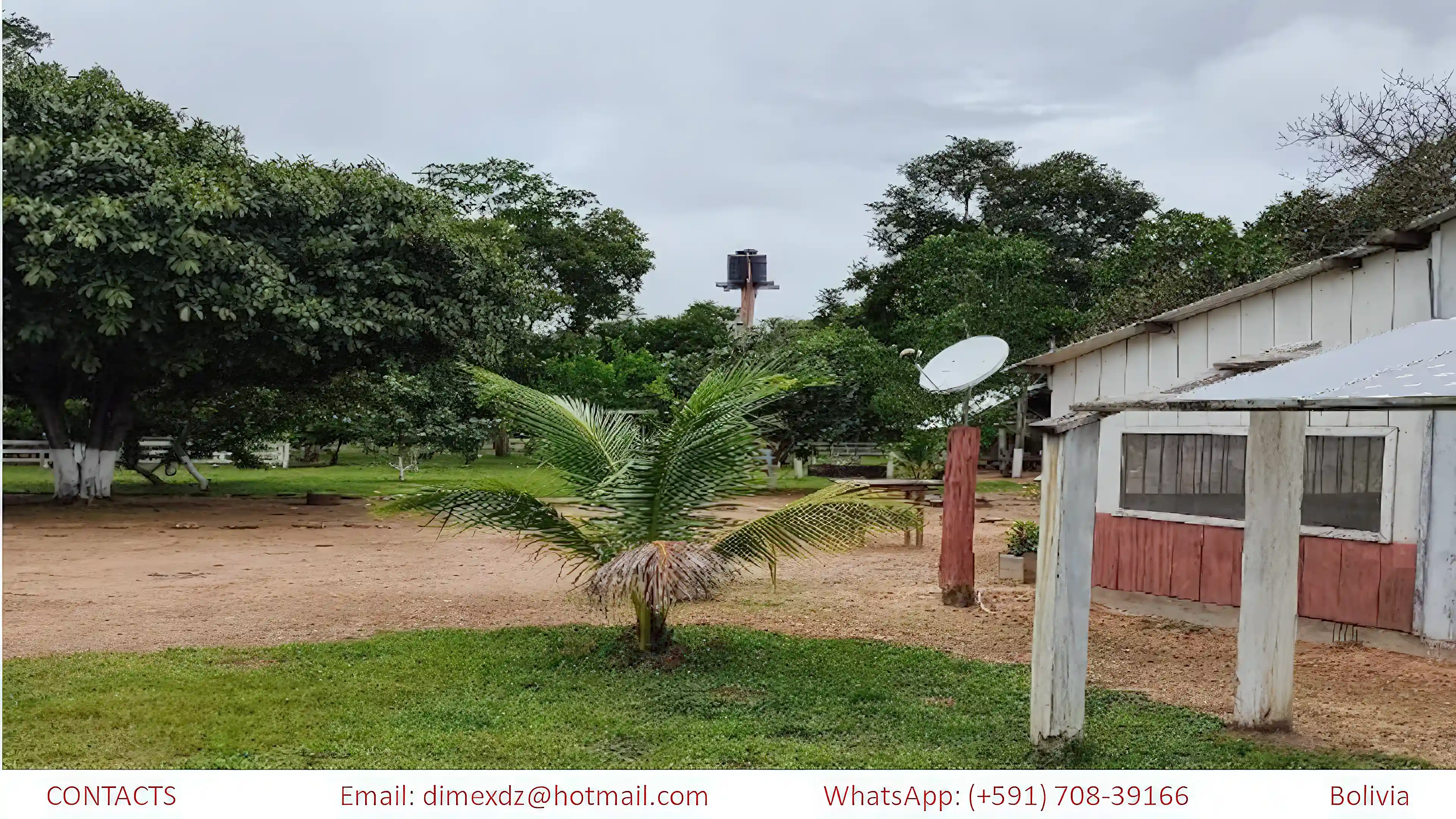 cattle-ranch-for-sale-in-bolivia