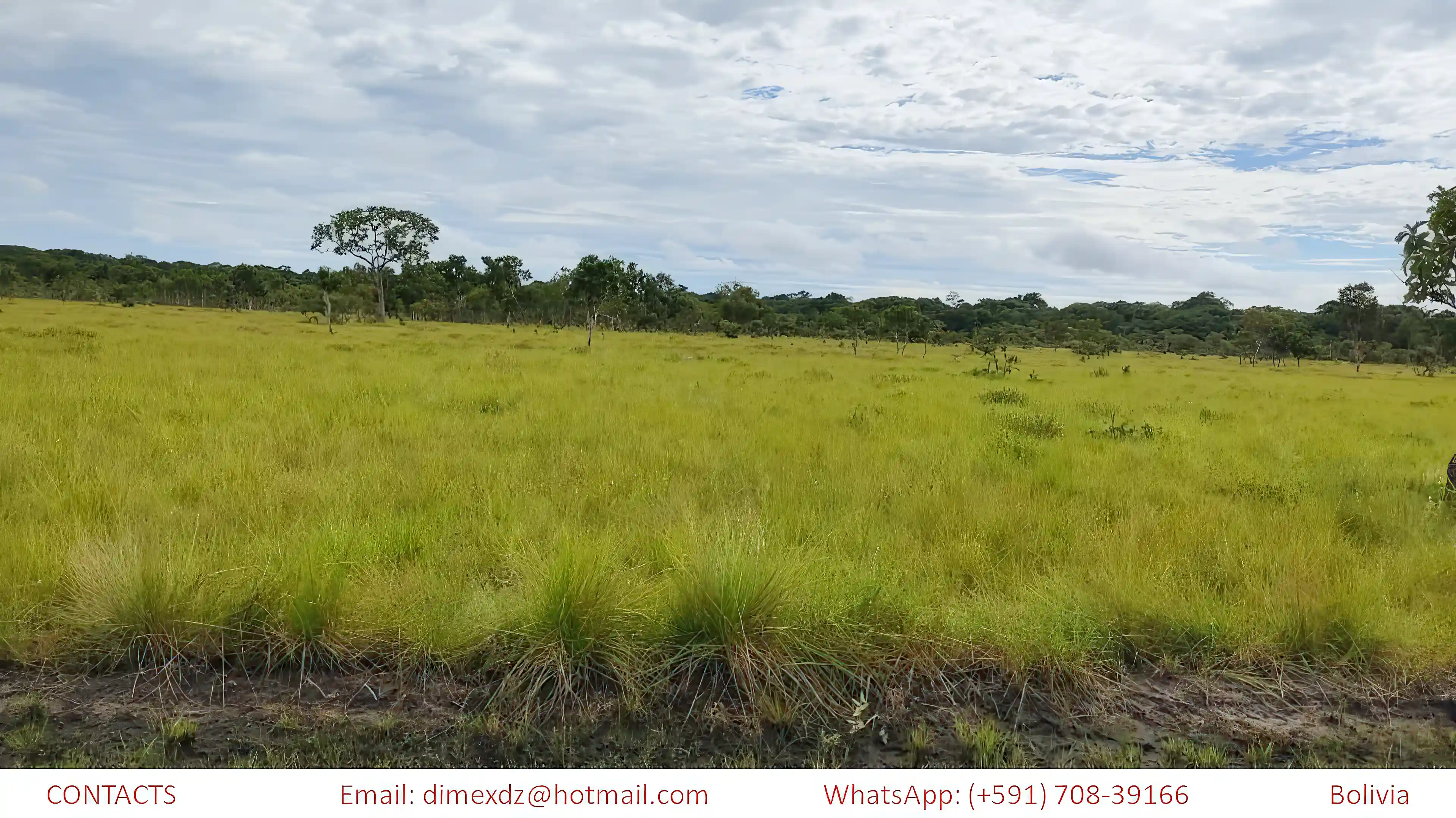 Cattle Ranch for Sale in Bolivia
