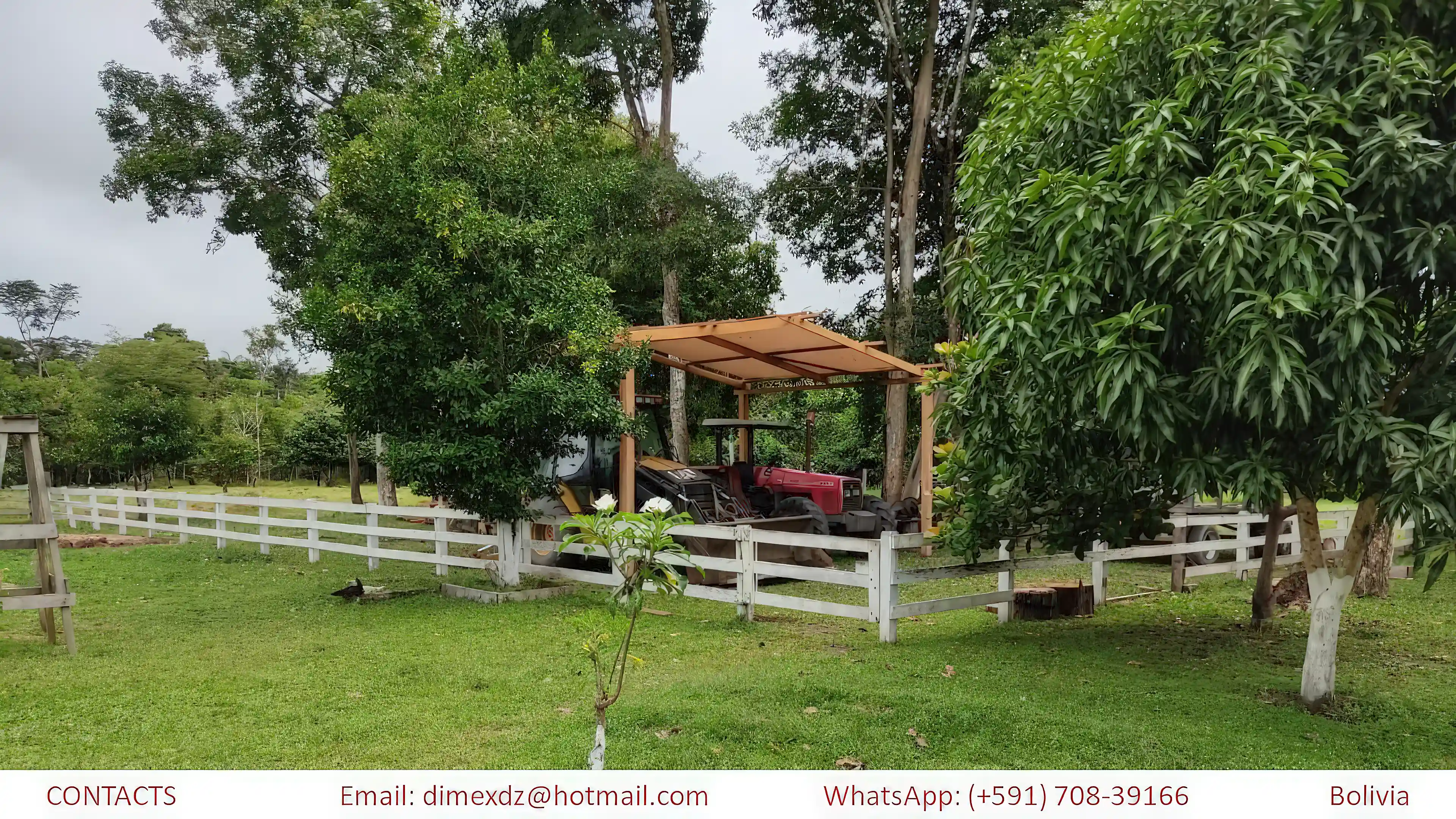cattle-ranch-for-sale-in-bolivia