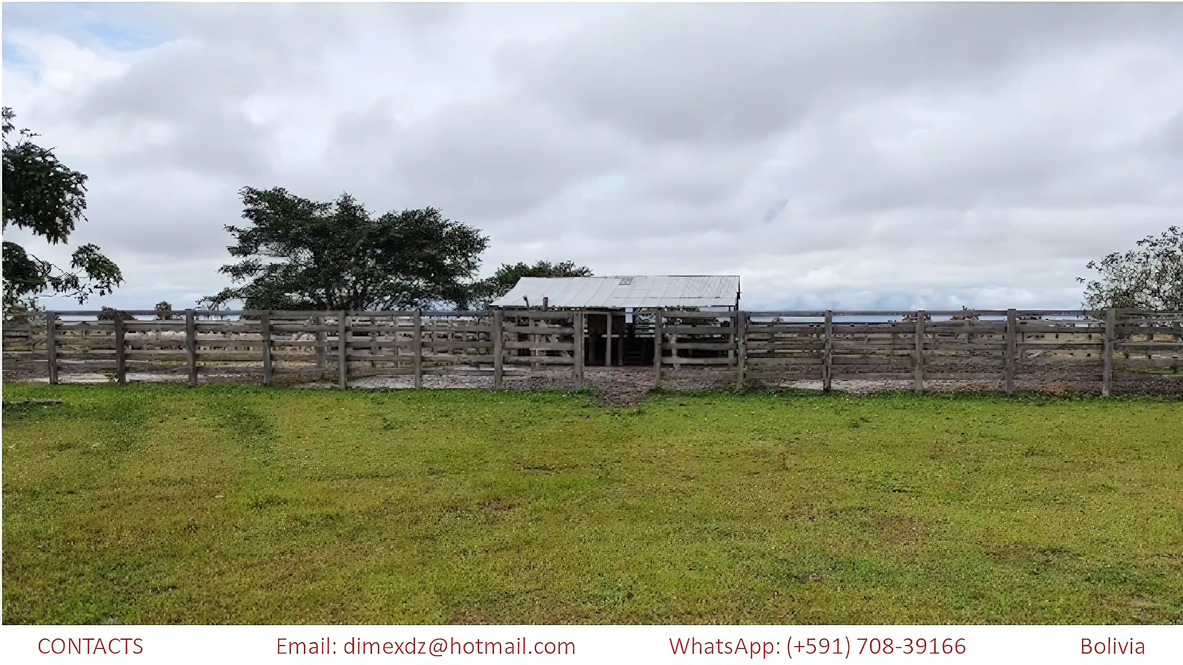 Cattle Ranch for Sale in Bolivia