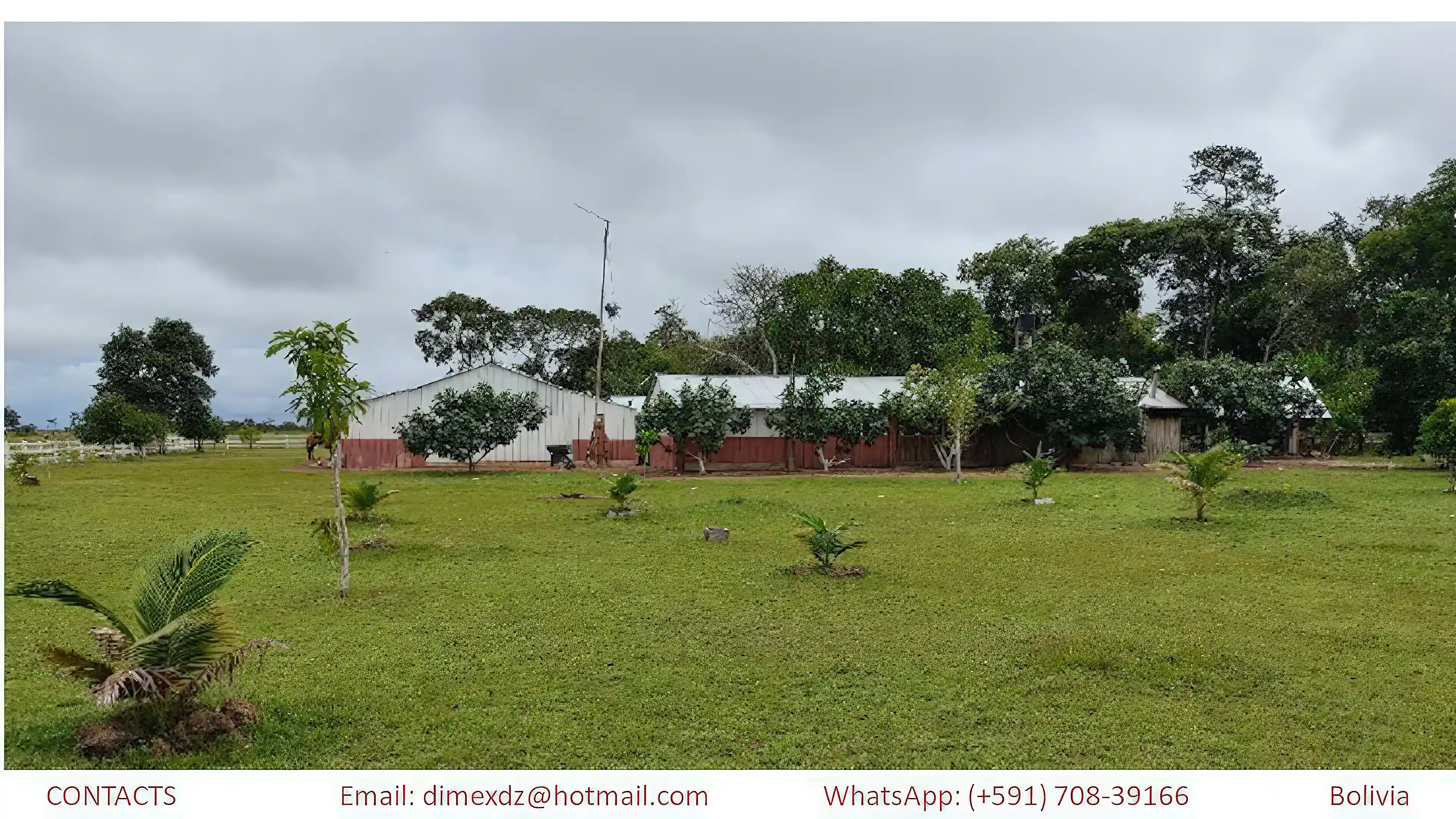 Cattle Ranch for Sale in Bolivia