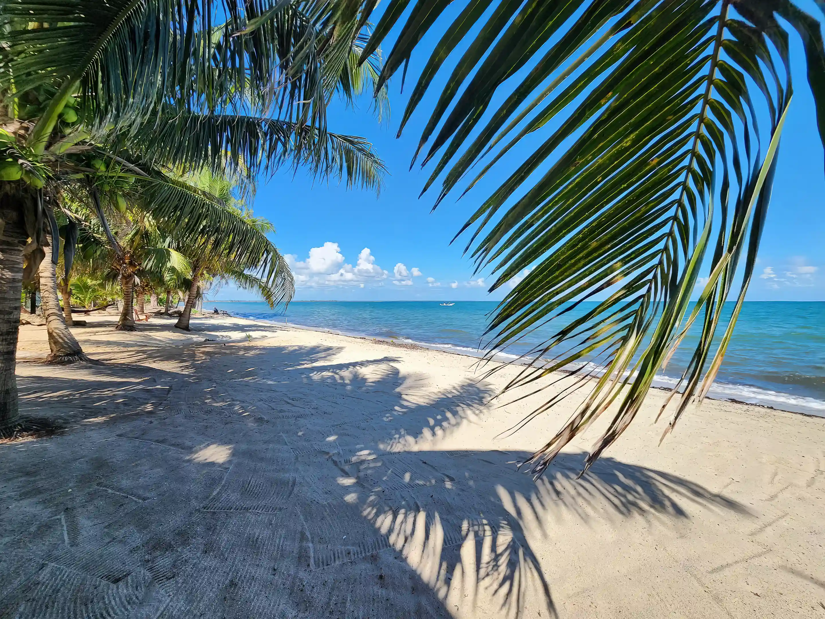 Beachfront Property for Sale and Rent in Hopkins Village, Belize