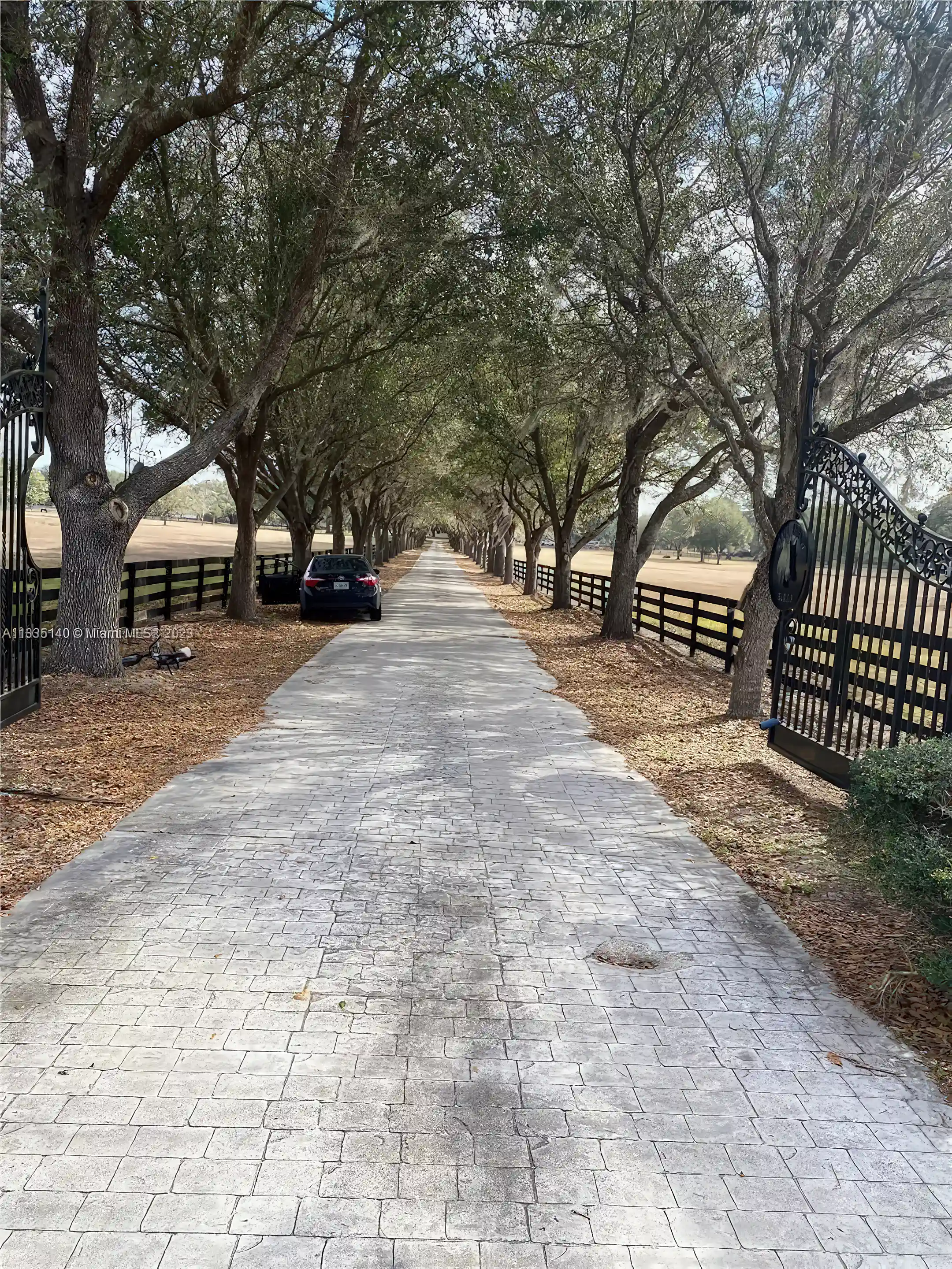 Farm/Ranch for Sale in Ocala, Florida, USA