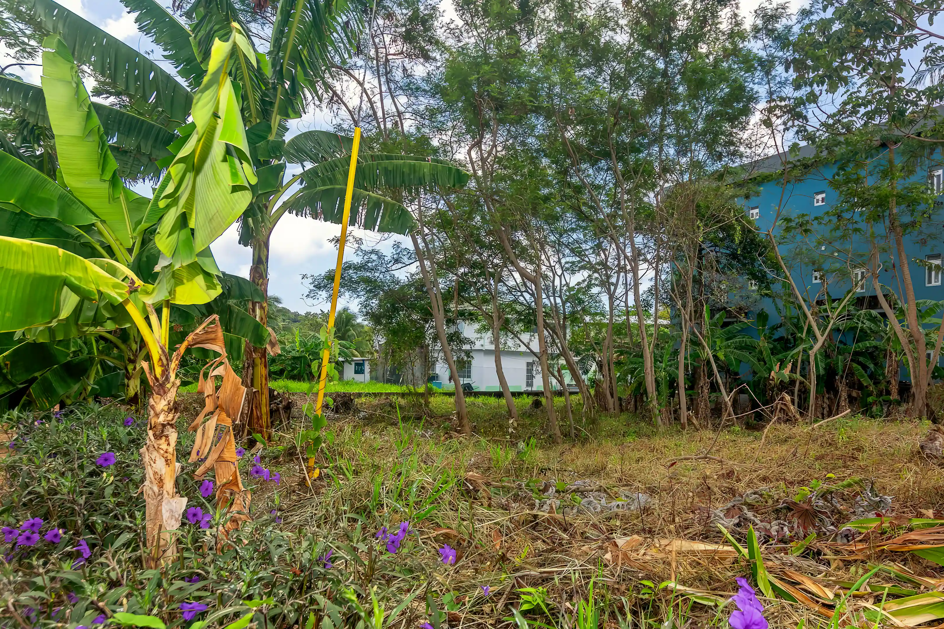 Lot/Land for Sale in Roatan, Bay Islands, Honduras