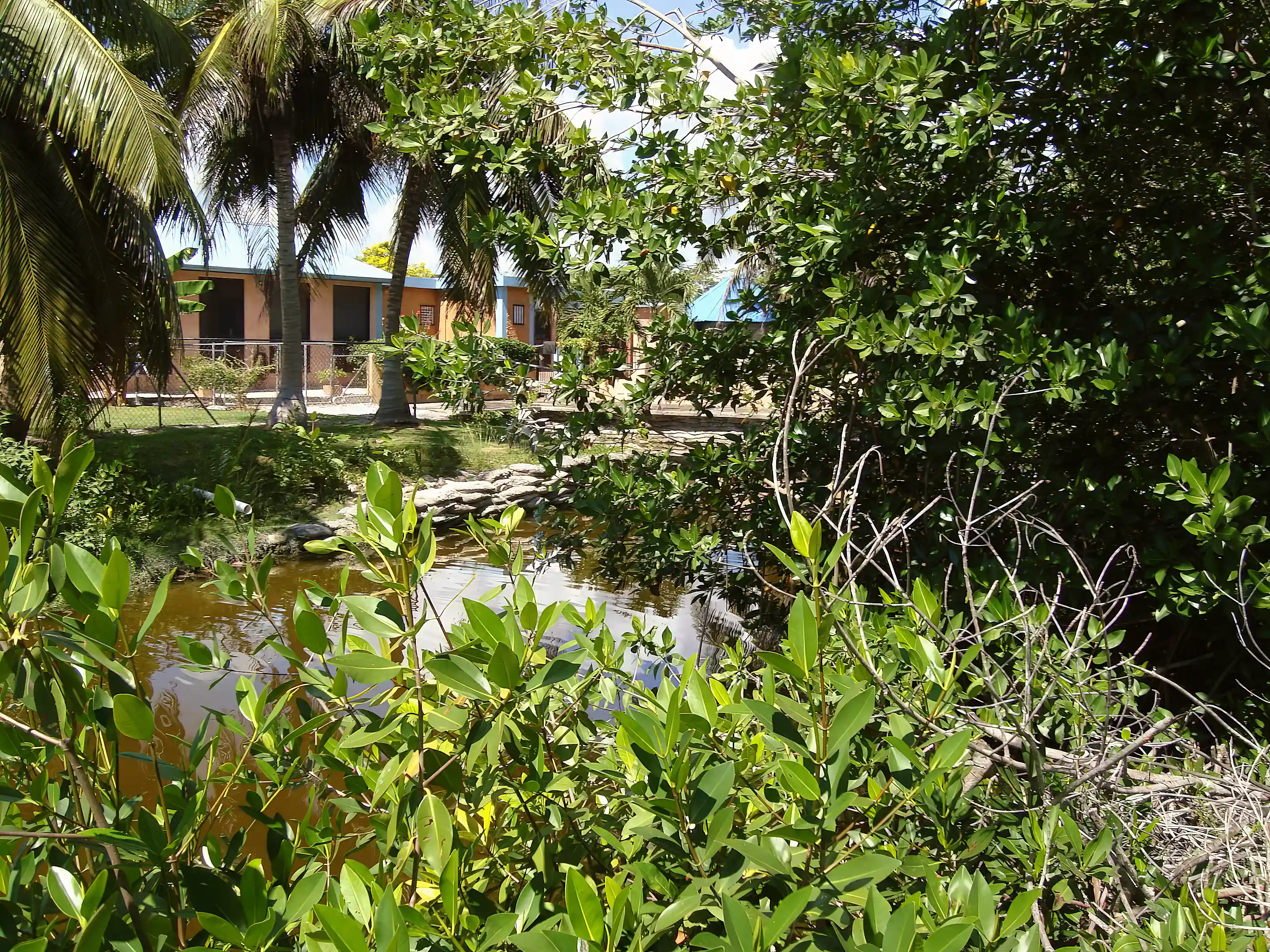 Canal Front Plot for Sale in Bayshore Drive, Corozal City, Corozal