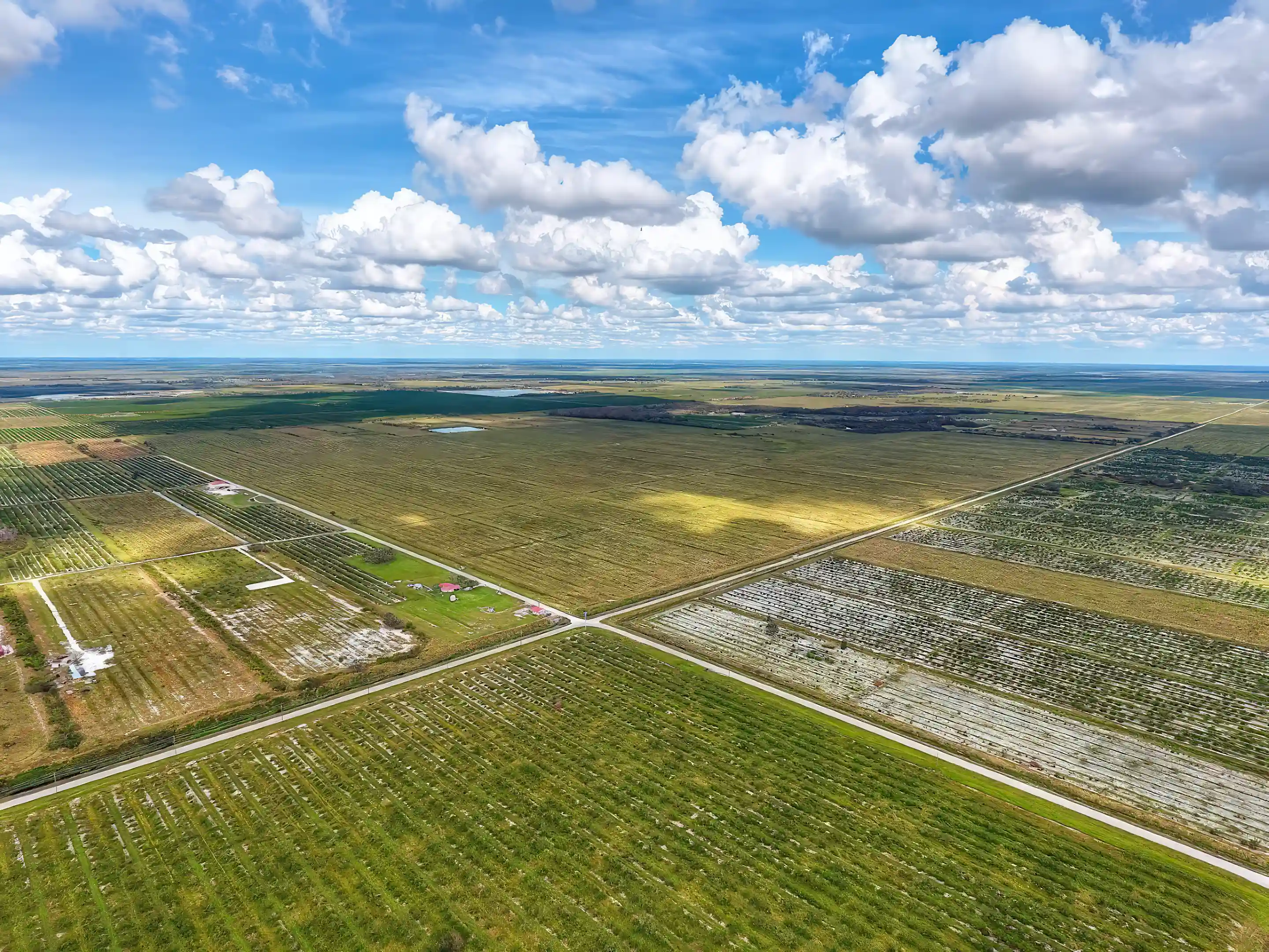 Citrus Farm for Sale in Punta Gorda, Florida, USA