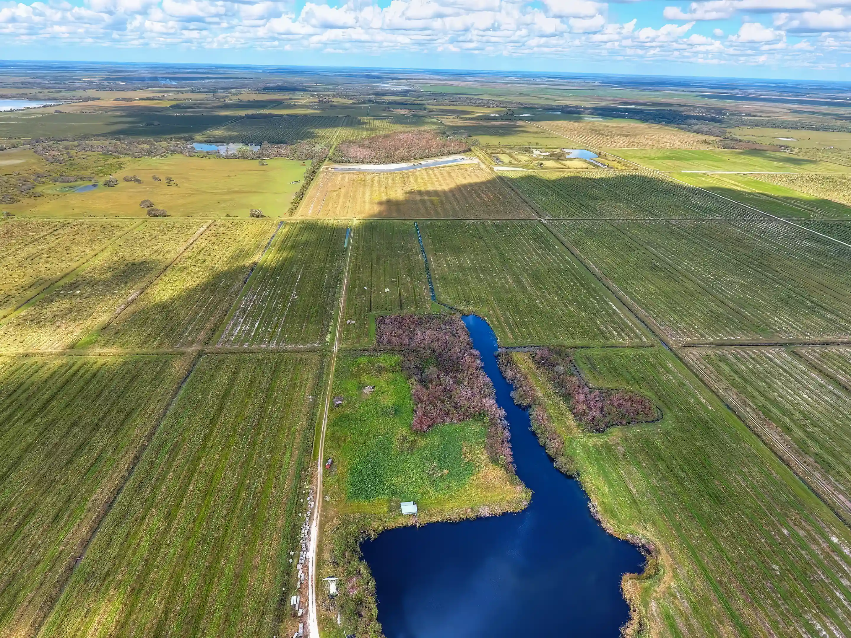 Citrus farm for sale in punta gorda florida usa