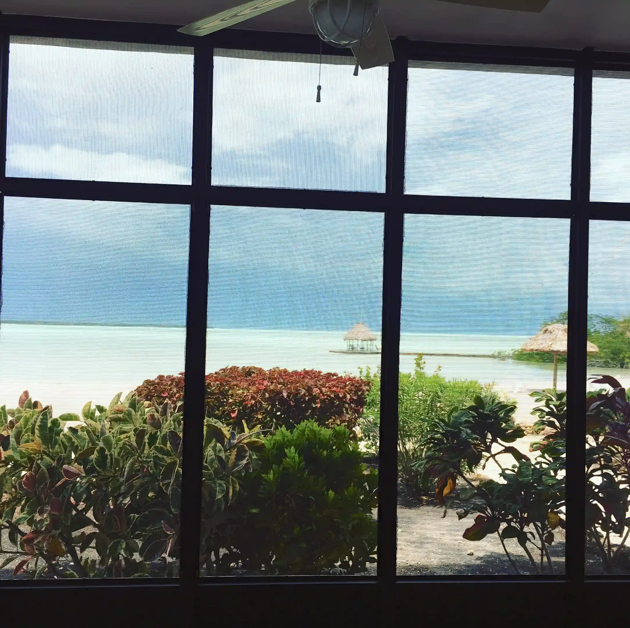 View from screened front veranda