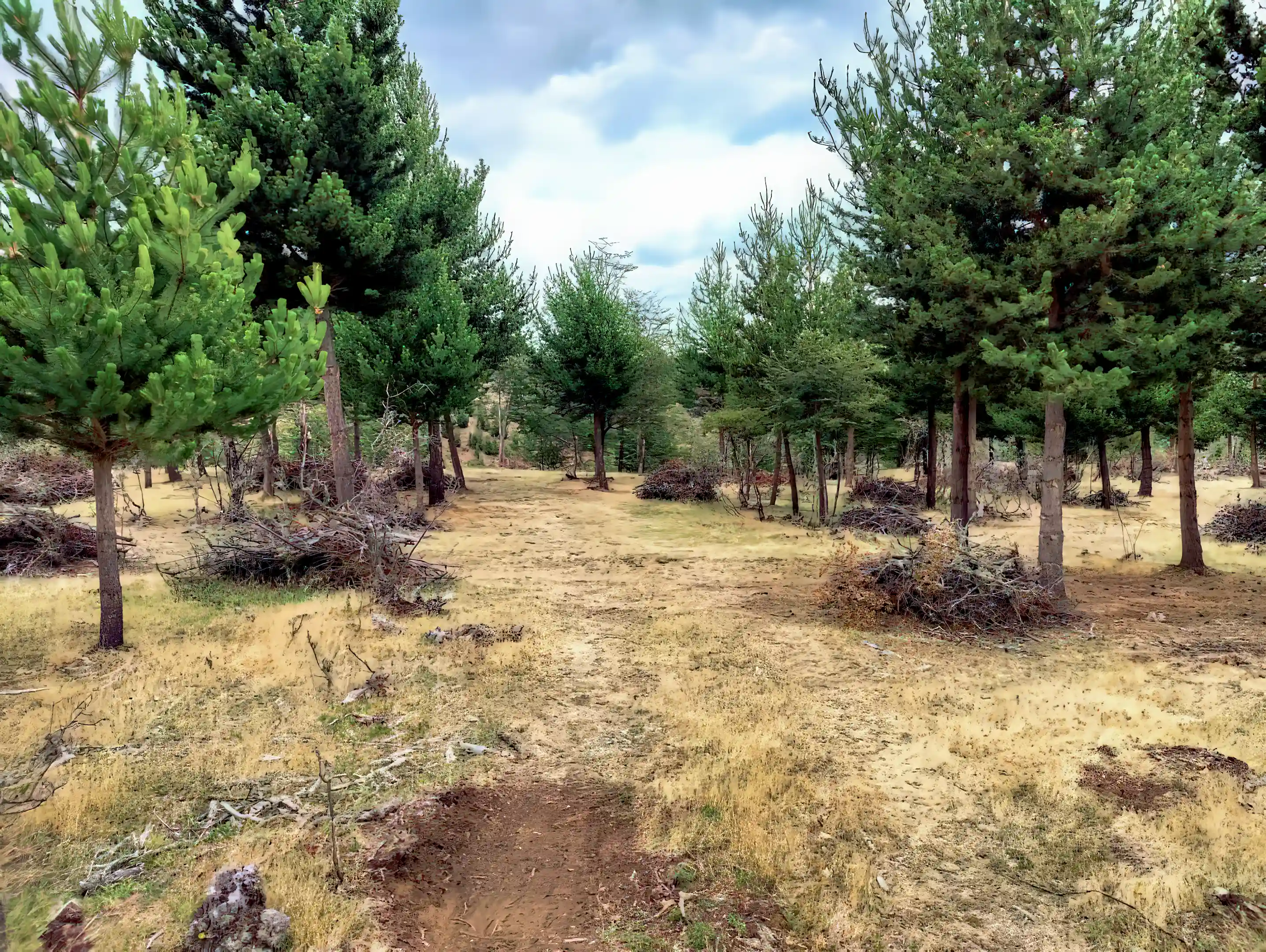 About 80% of property is flat and ready to build...