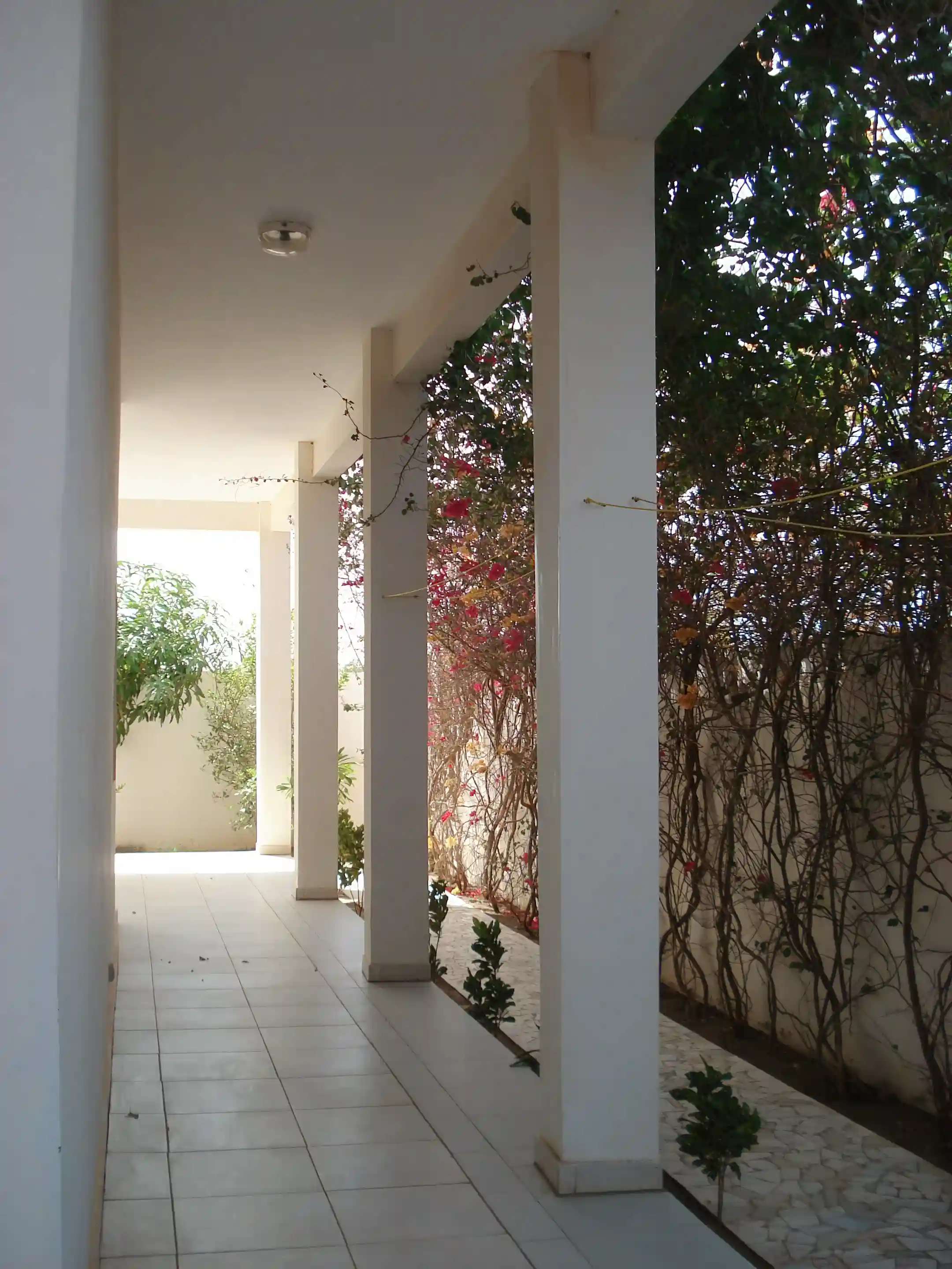 Patio surrounds the entire villa and provides for a fresh...