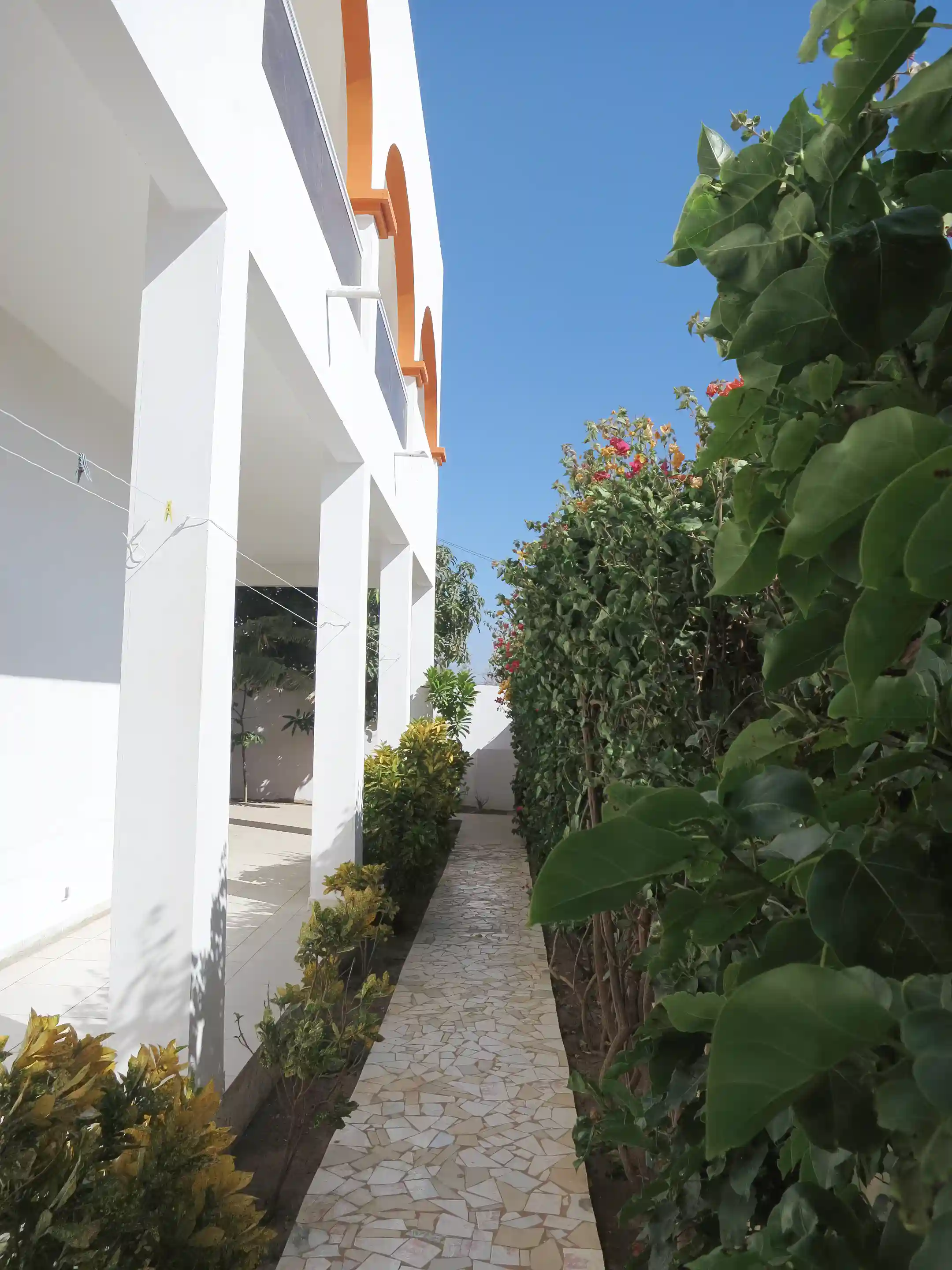 View of another corner of garden.